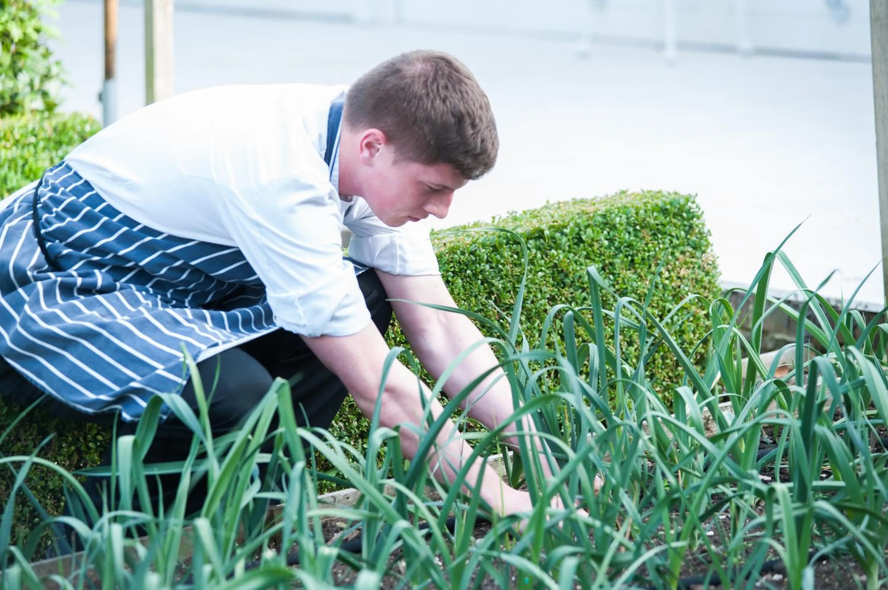 People in Summer Lodge Country House Hotel