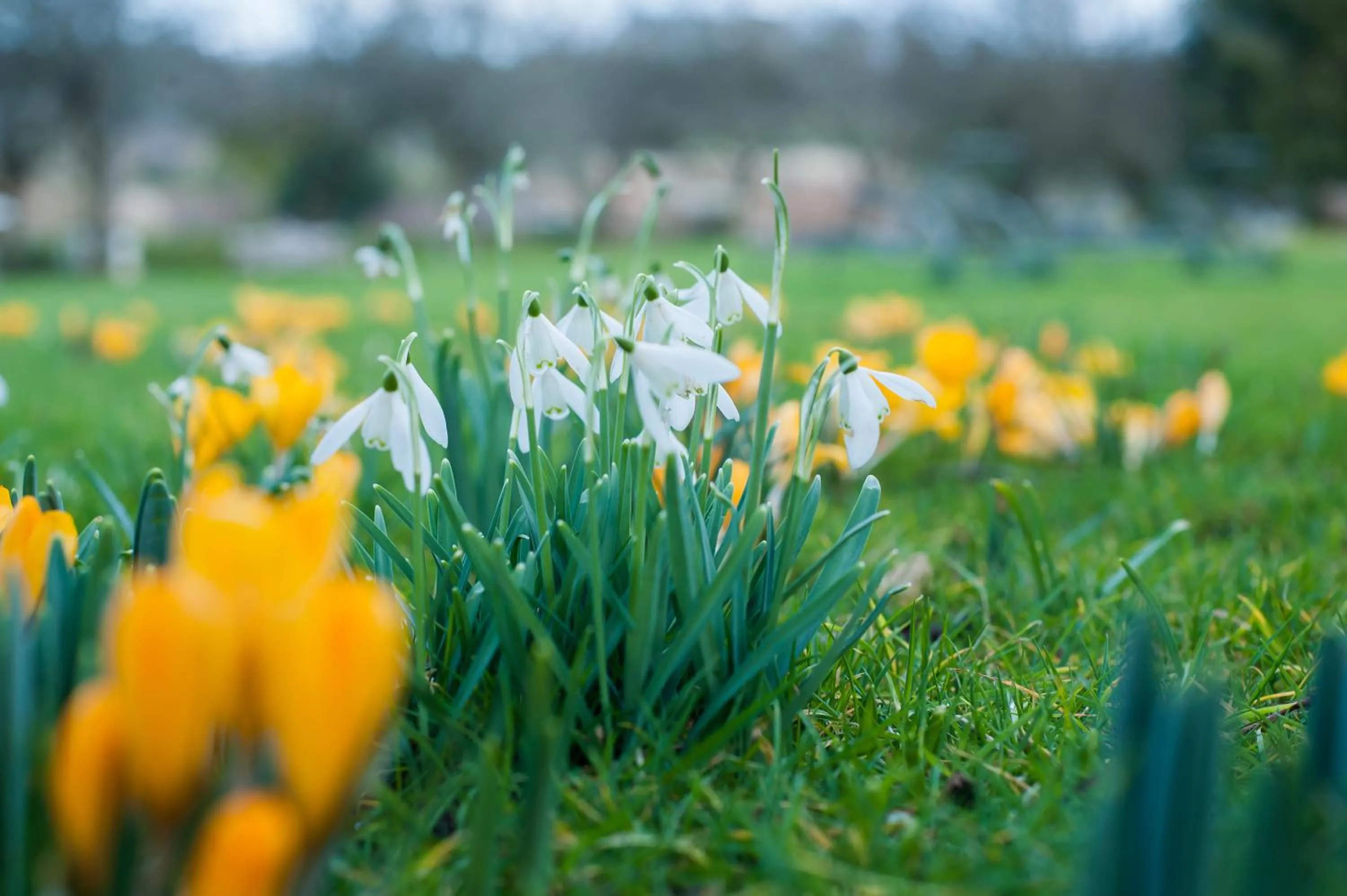Garden in Summer Lodge Country House Hotel