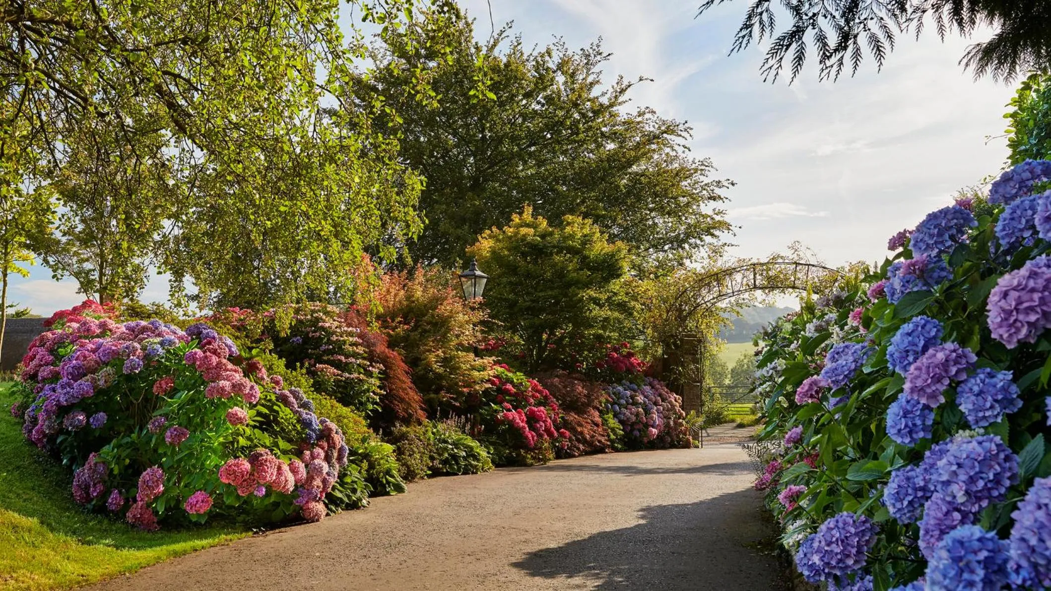 Garden in Summer Lodge Country House Hotel