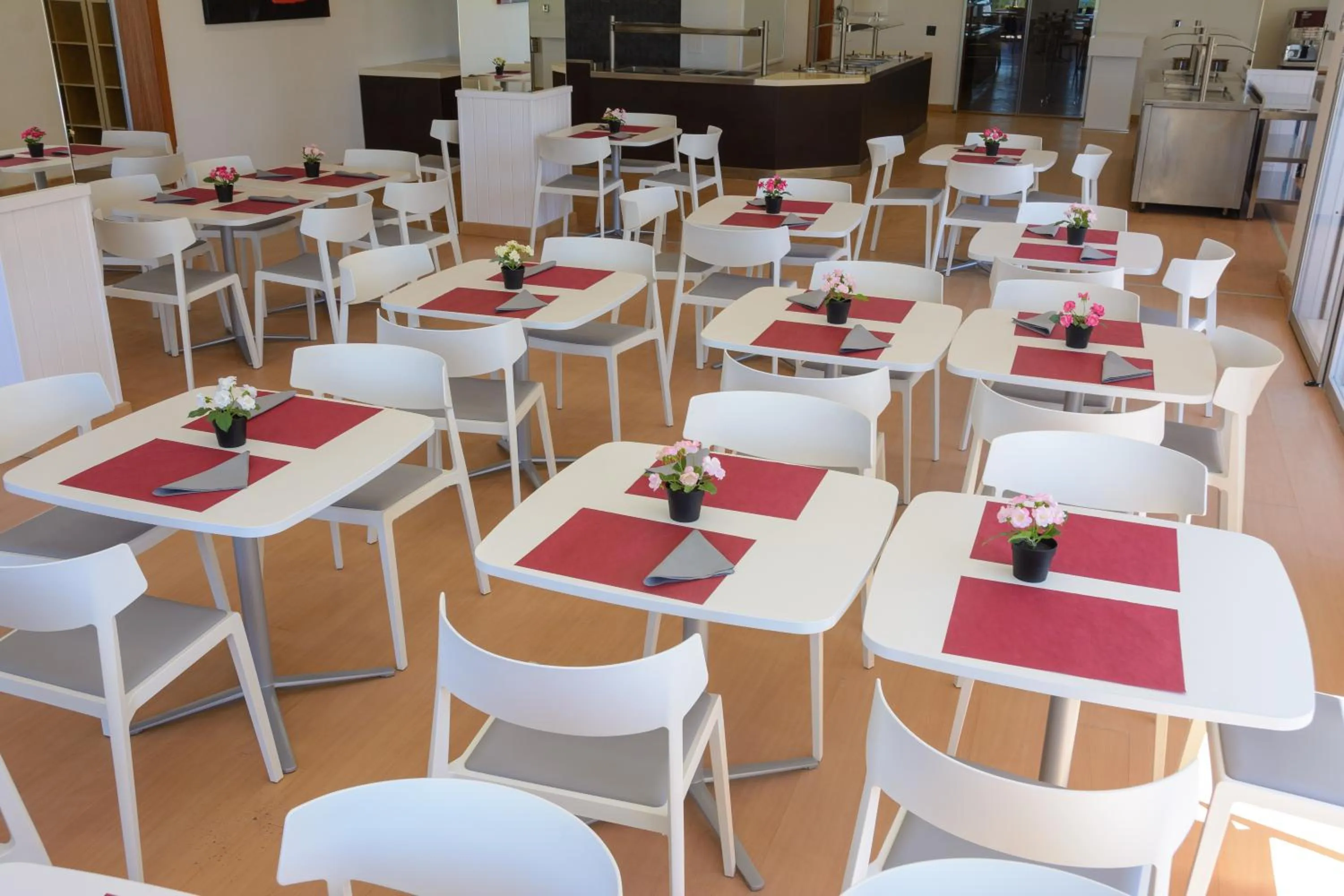 Restaurant/places to eat in Albatros Family