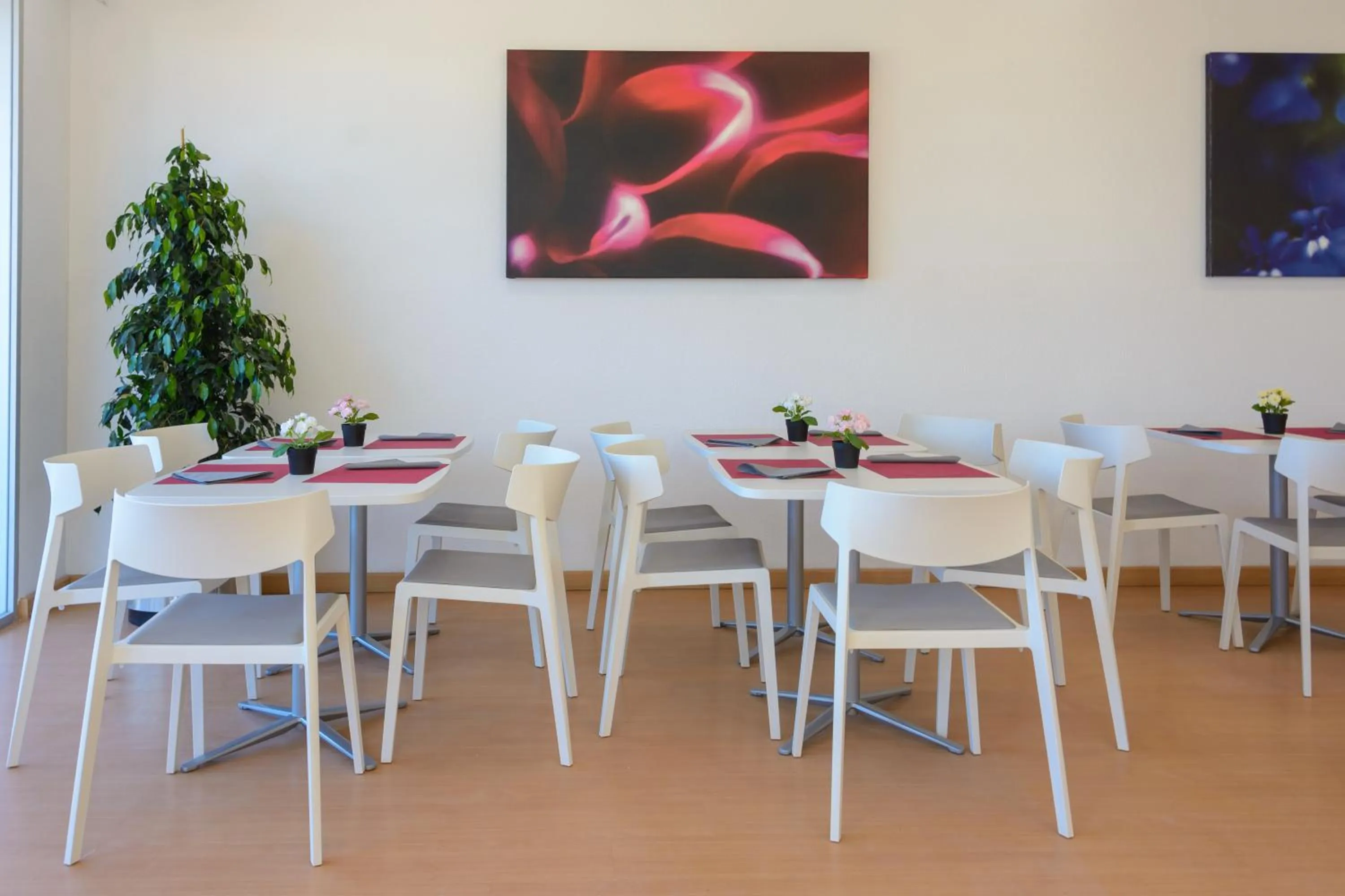 Restaurant/places to eat in Albatros Family