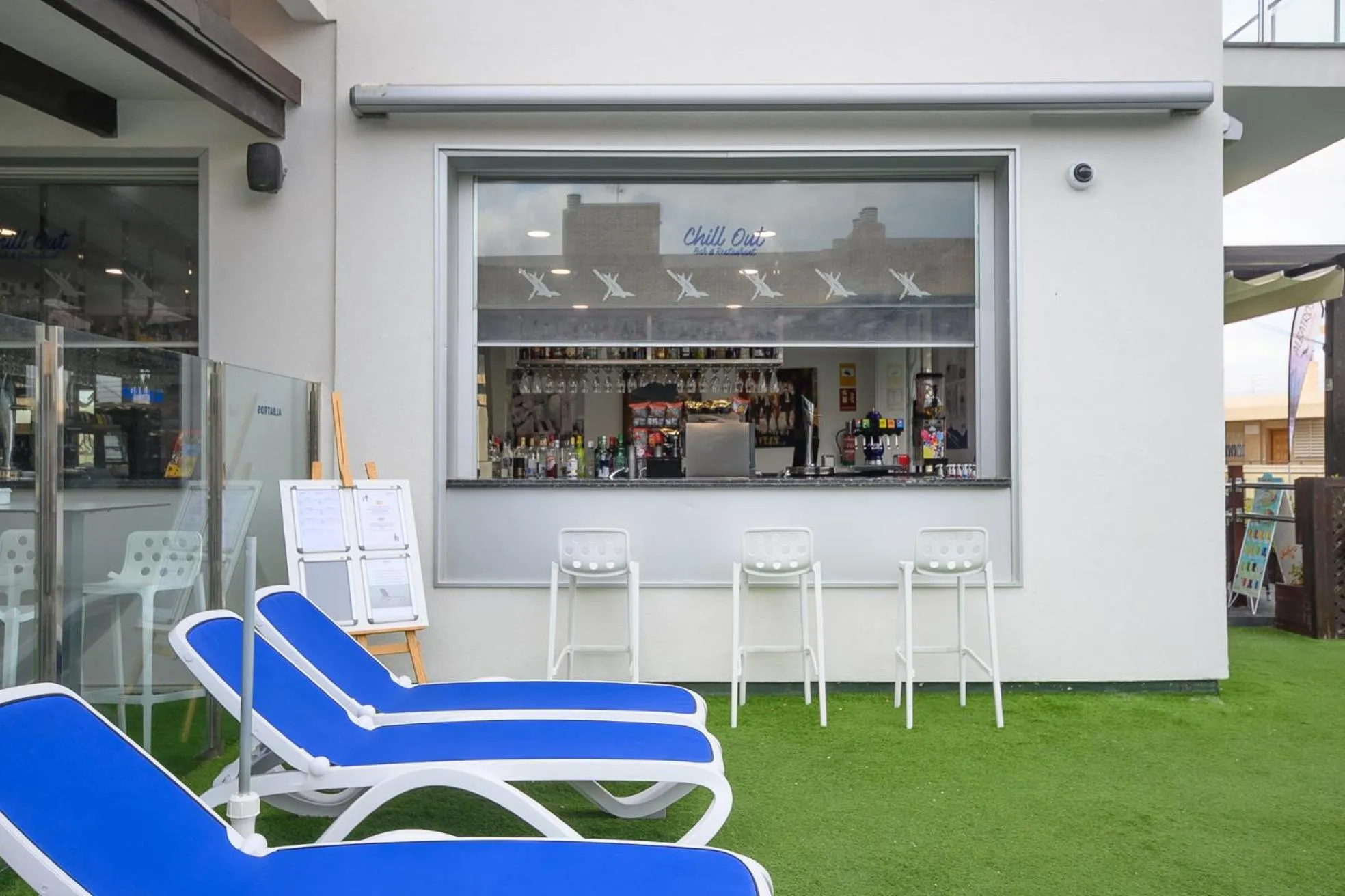 Day in Albatros Family