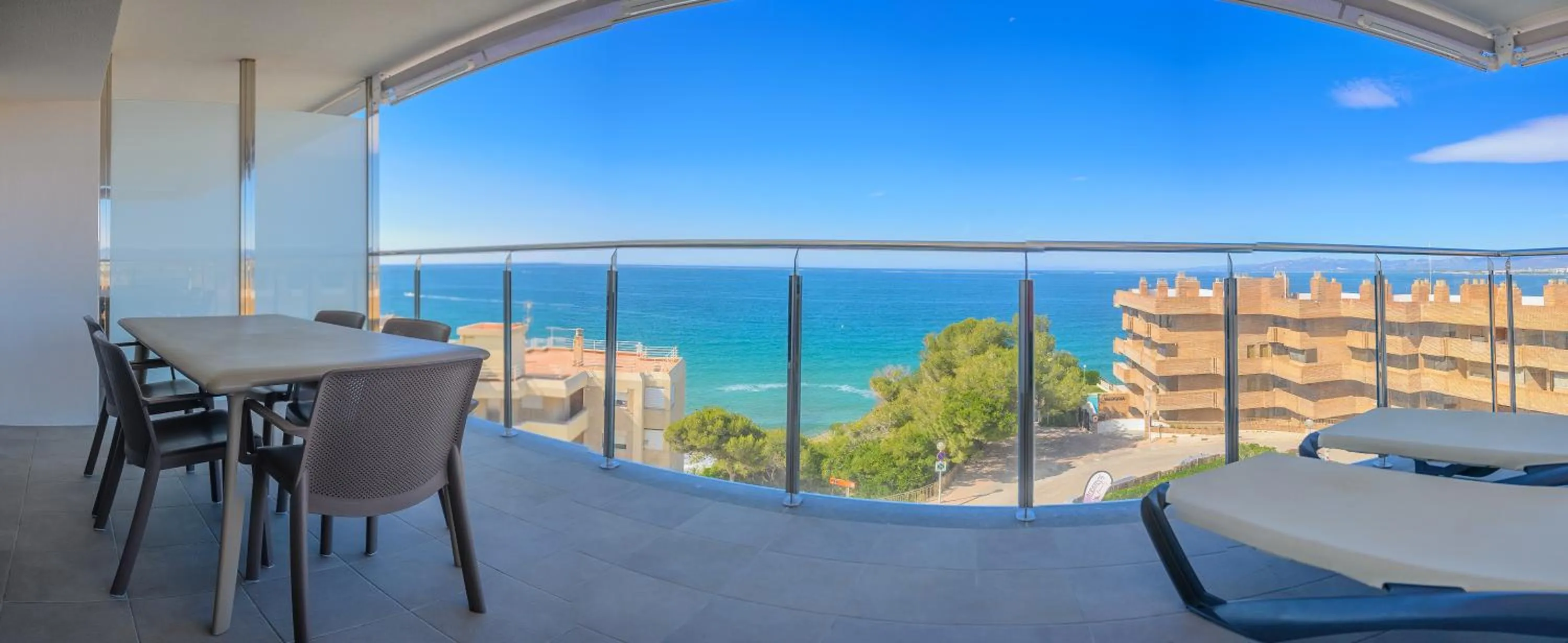 Day in Albatros Family