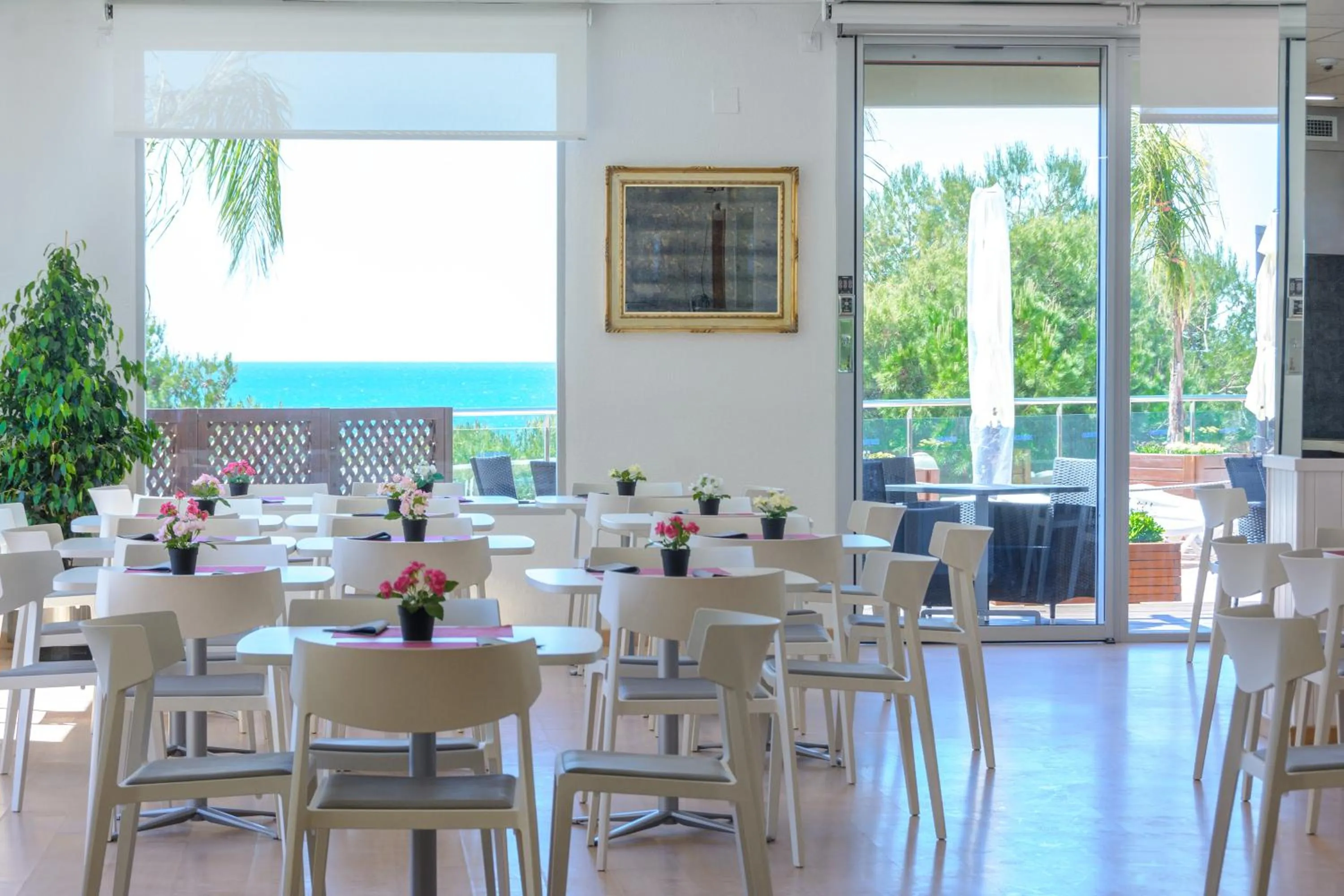 Restaurant/places to eat in Albatros Family