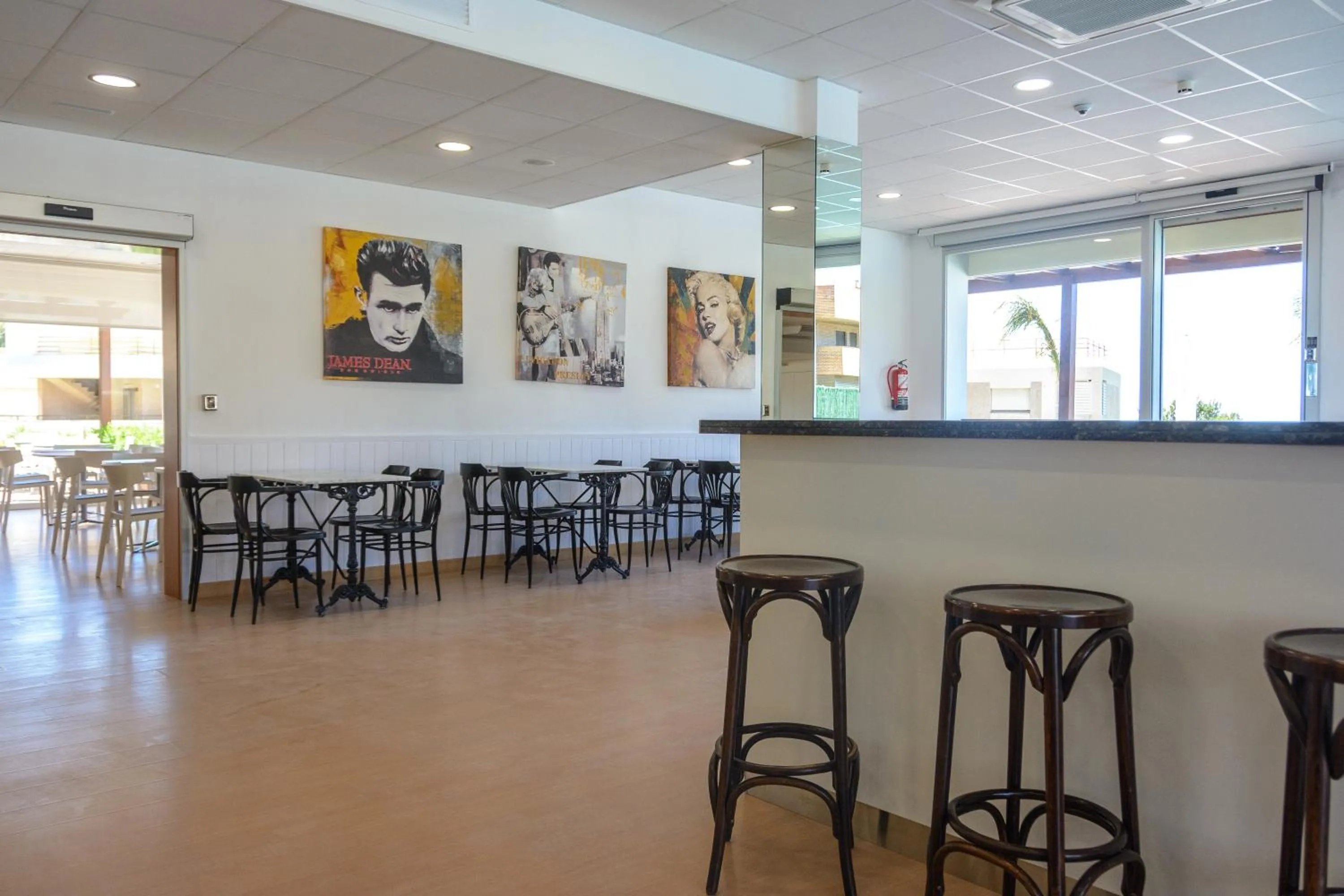 Lounge or bar in Albatros Family