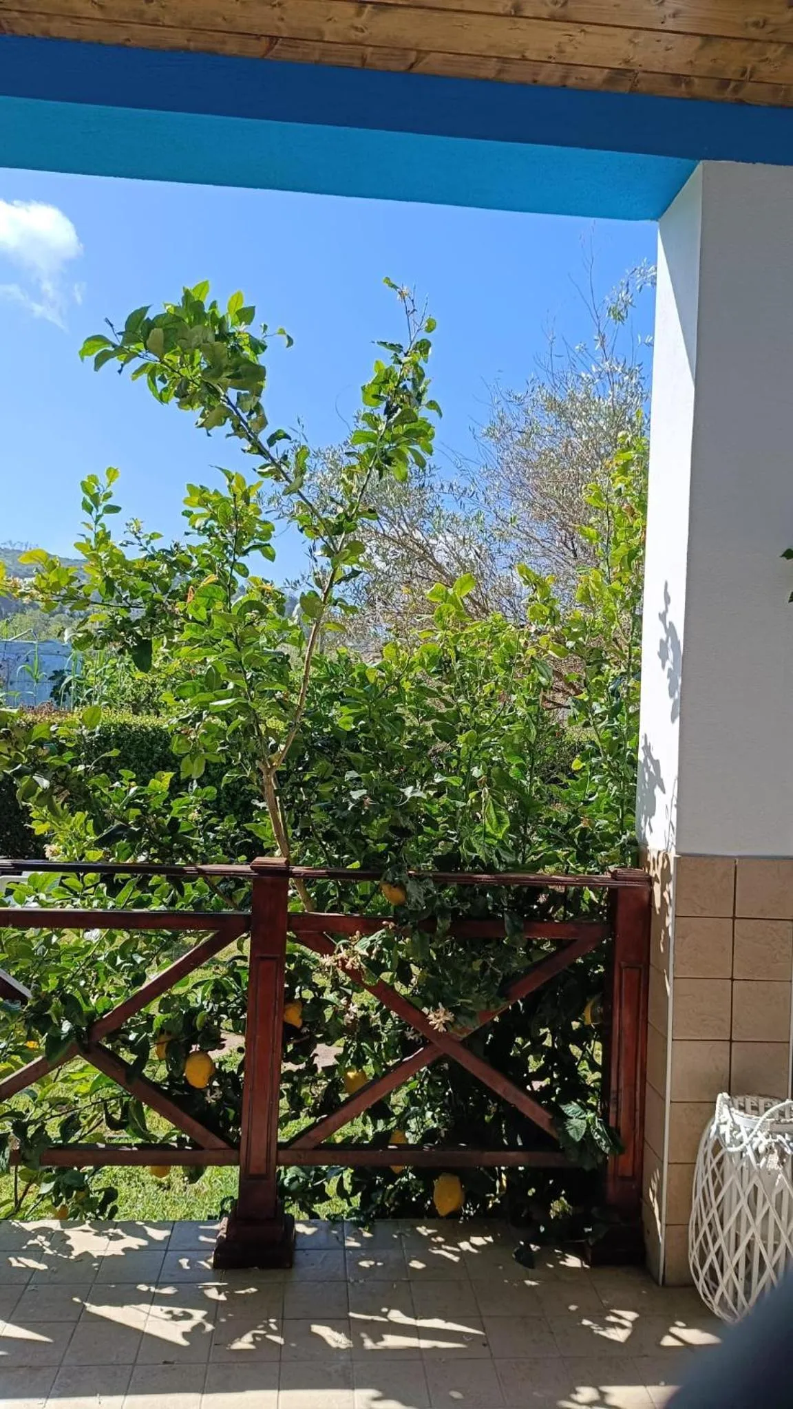 Patio in B&B Oasi al Mare