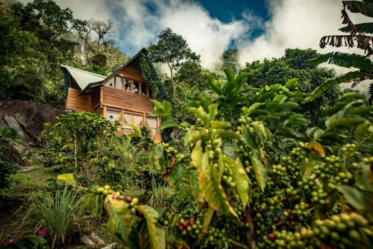 Family Bungalow - single occupancy in Monte Mágico
