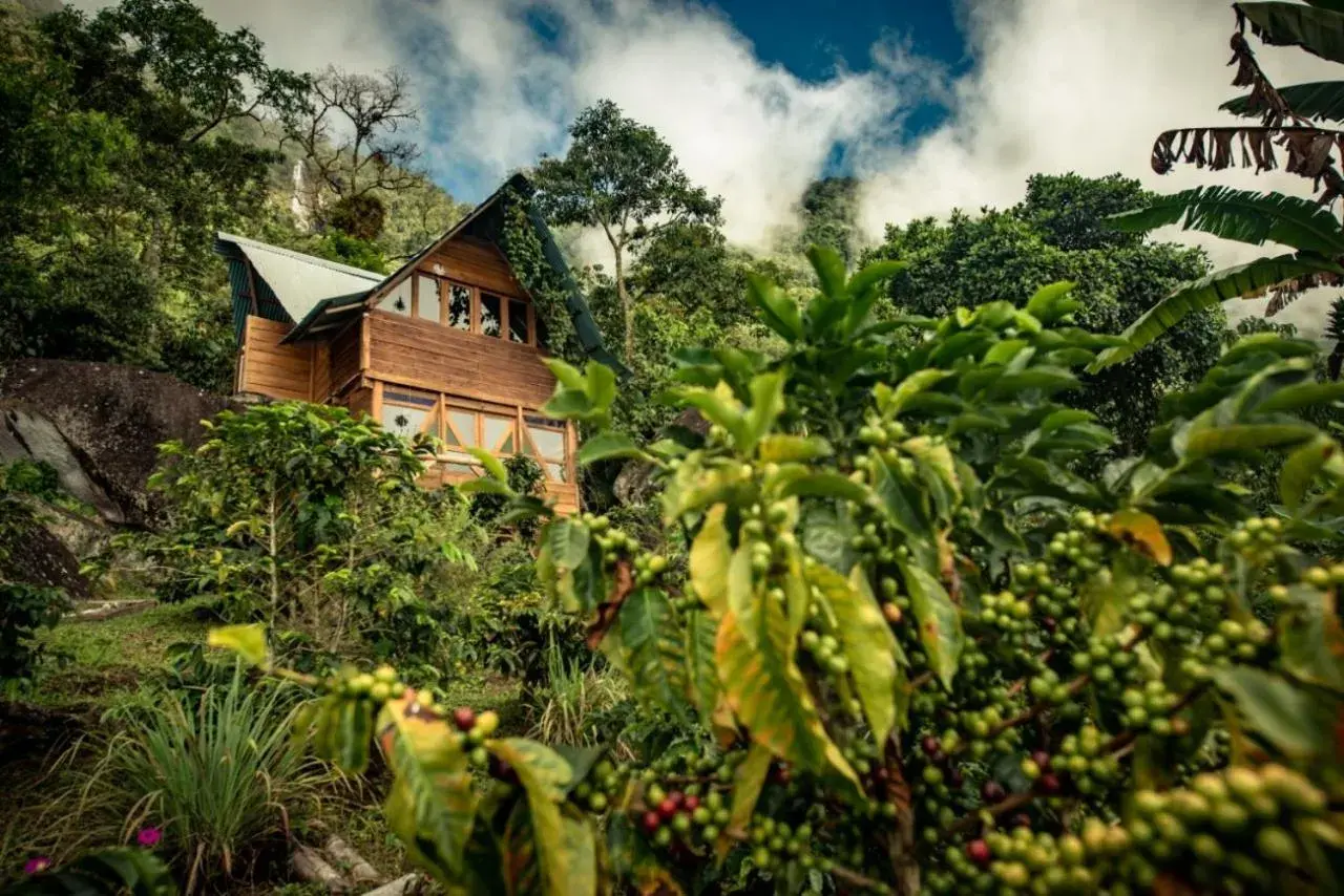 Family Bungalow - single occupancy in Monte Mágico Family Bungalow - single occupancy in Monte Mágico