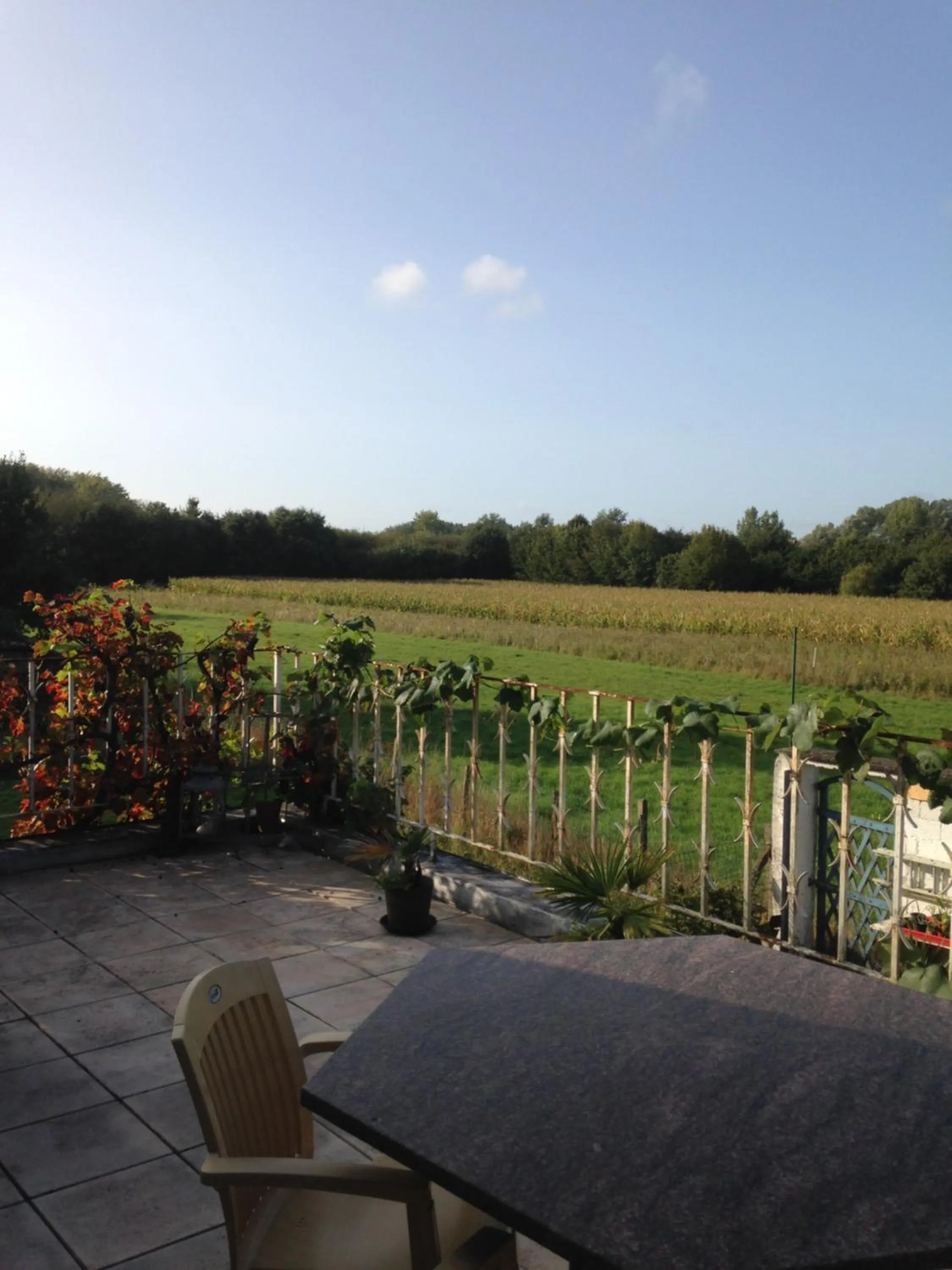 Natural landscape in B&B Aalsters-genot