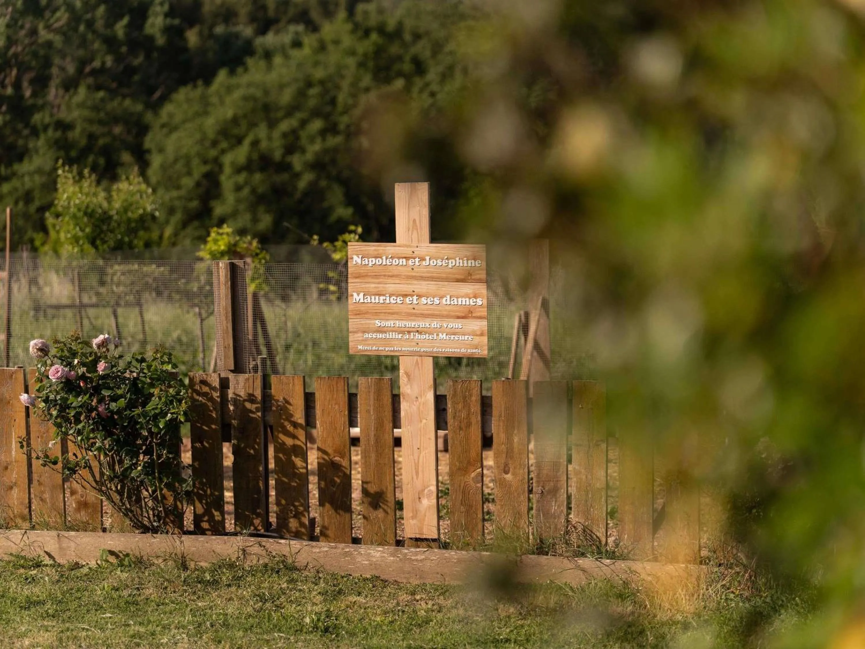 Property building in Mercure Aix-En-Provence Sainte-Victoire