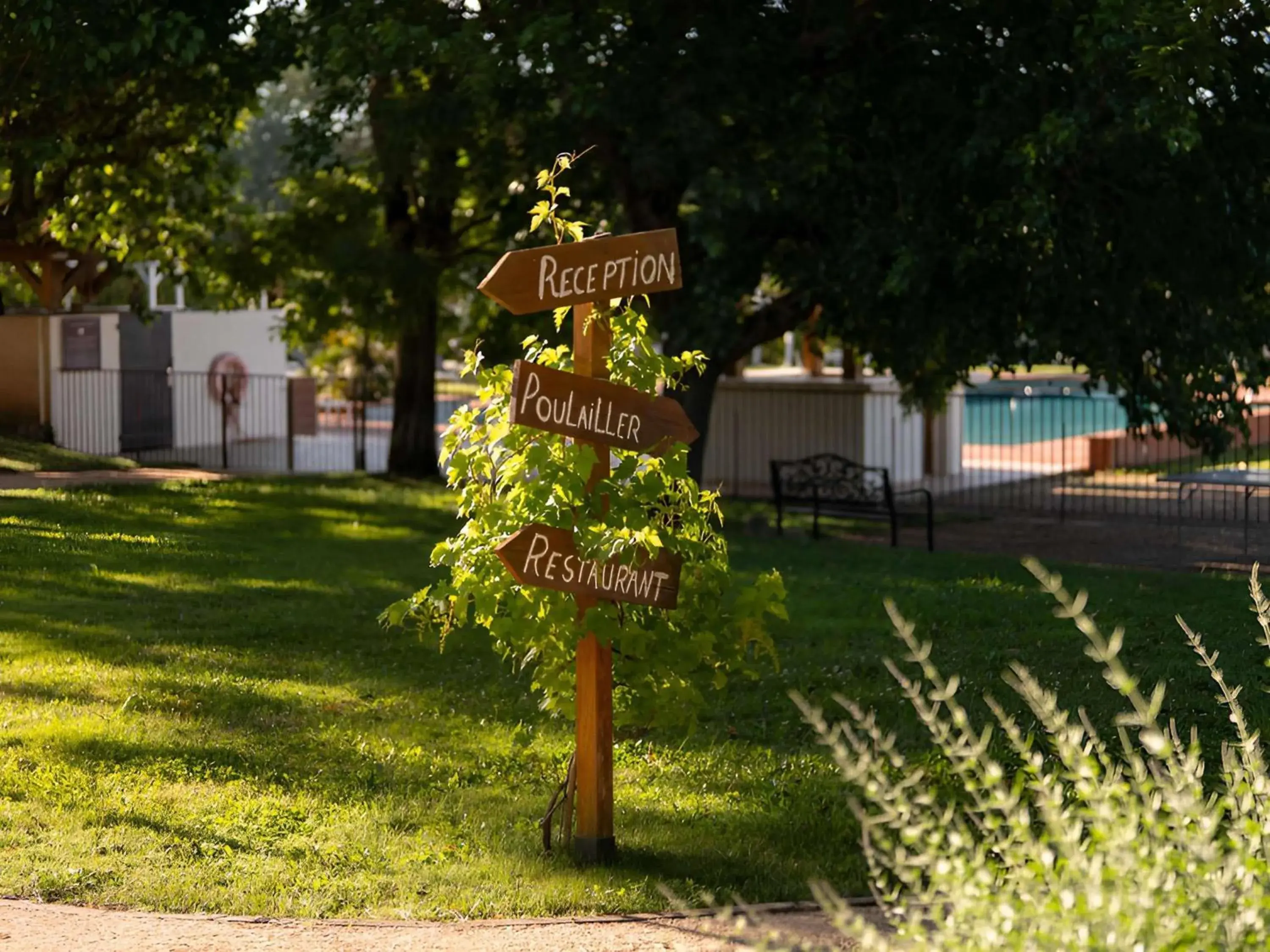 Pool view in Mercure Aix-En-Provence Sainte-Victoire Pool view in Mercure Aix-En-Provence Sainte-Victoire