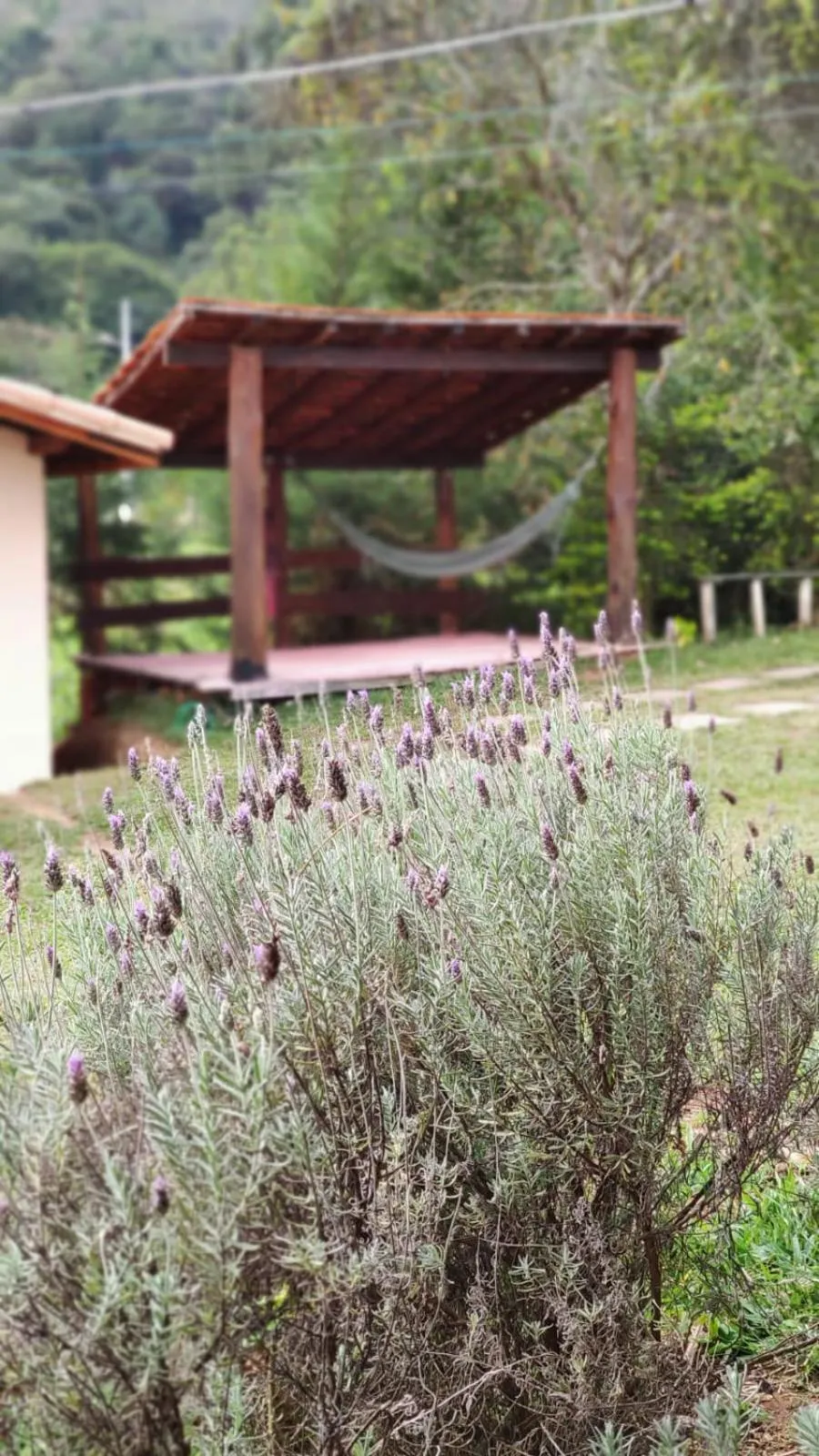 Pousada Recanto Verde Cunha