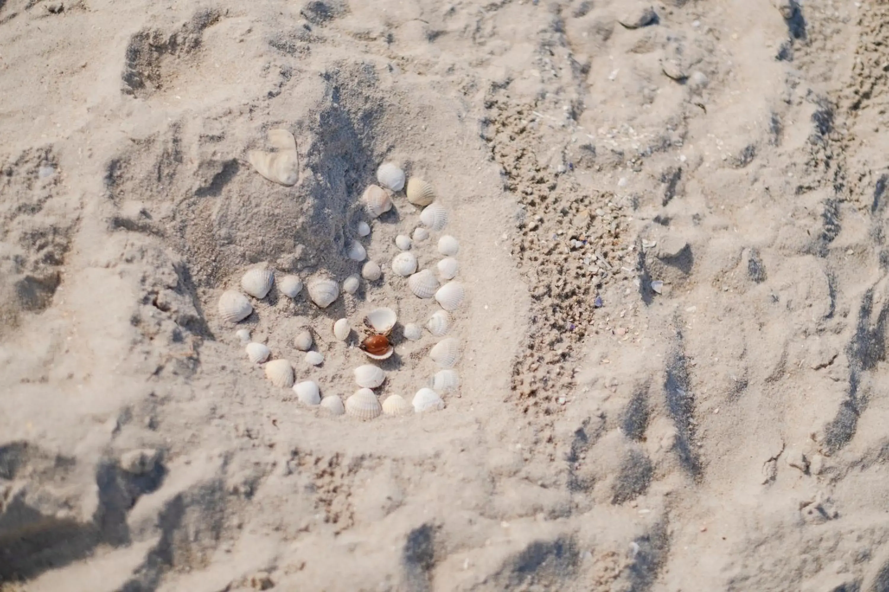 Superior Apartment in Hotel Hüttmann Superior Apartment in Hotel Hüttmann