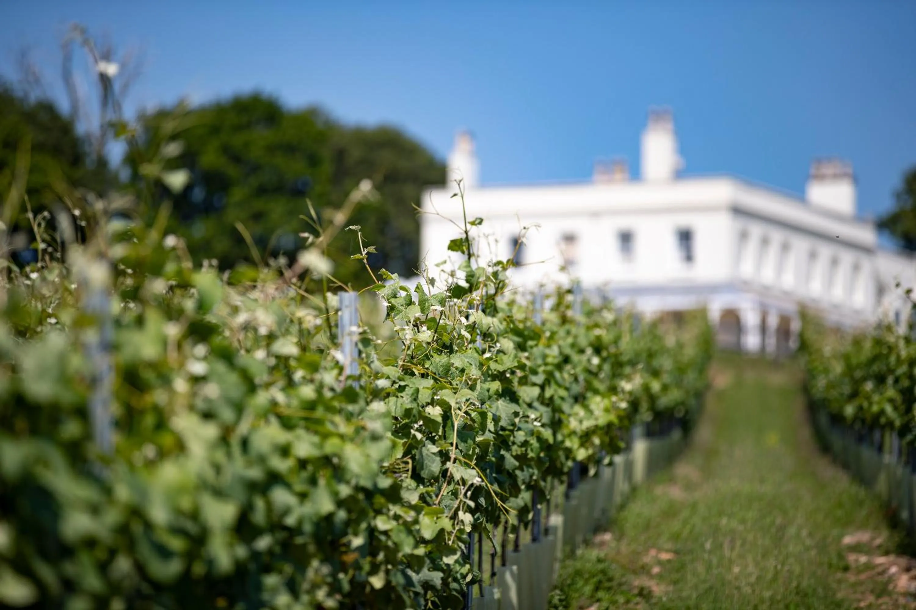 Property building in Lympstone Manor Hotel Restaurant & Vineyard - Relais & Chateaux