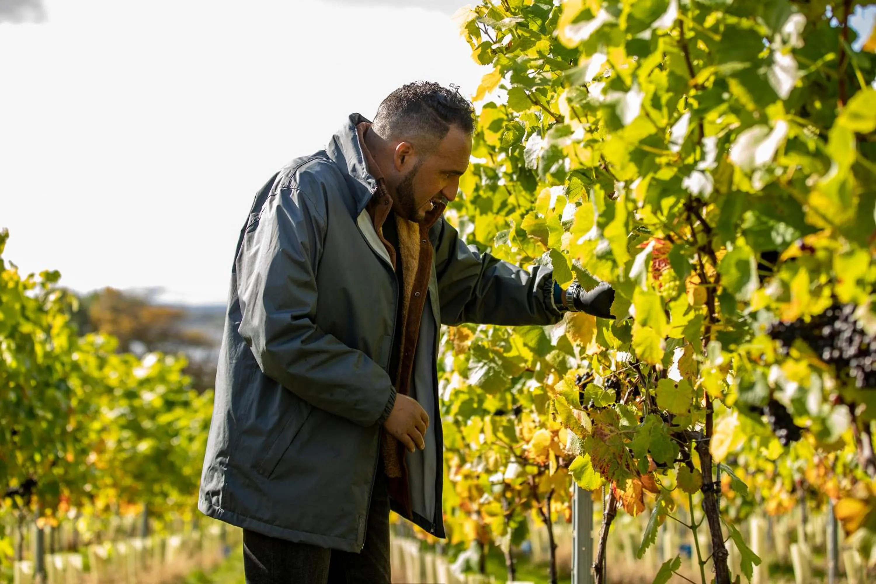 Summer in Lympstone Manor Hotel Restaurant & Vineyard - Relais & Chateaux