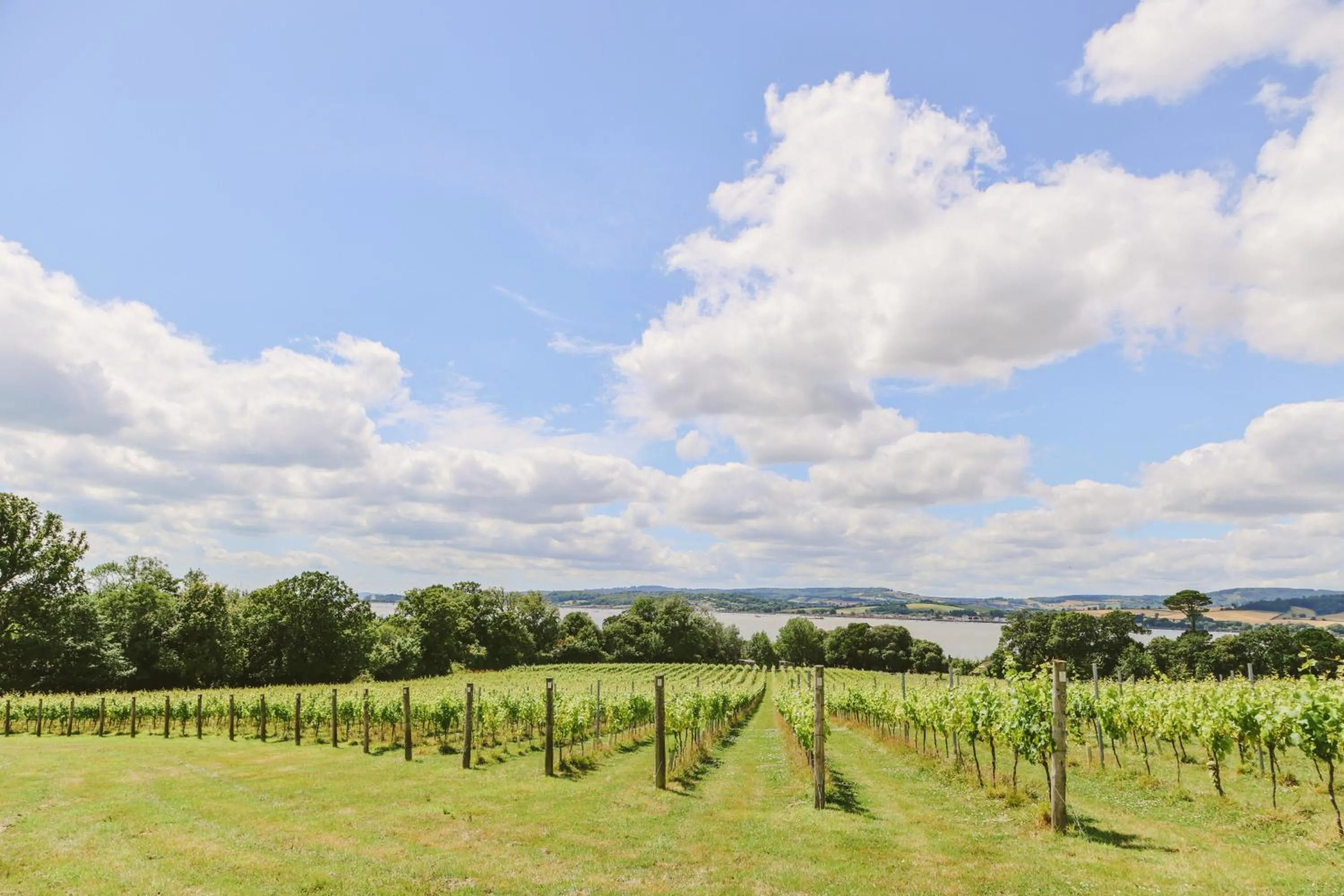Natural landscape in Lympstone Manor Hotel Restaurant & Vineyard - Relais & Chateaux