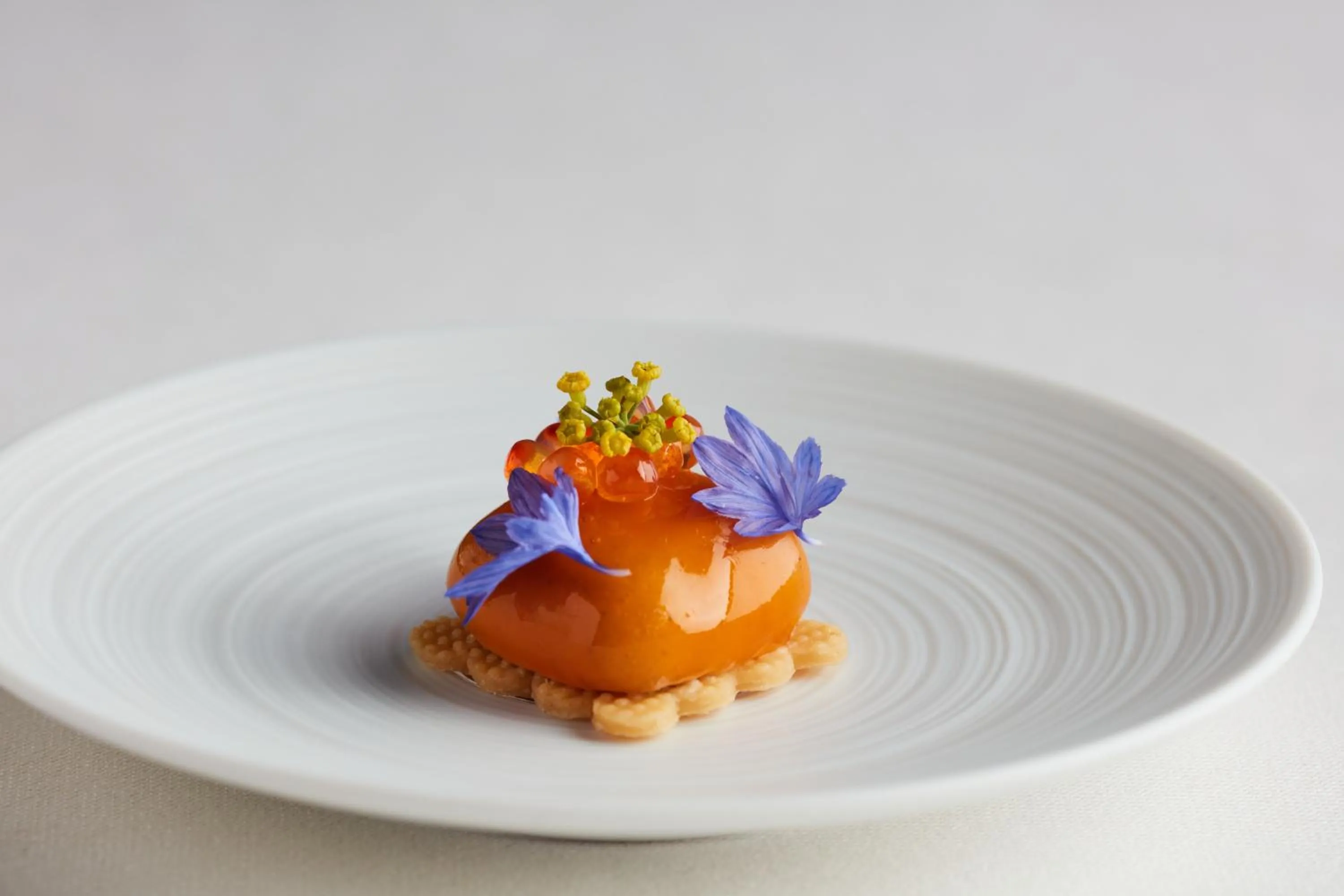 Food close-up in Lympstone Manor Hotel Restaurant & Vineyard - Relais & Chateaux