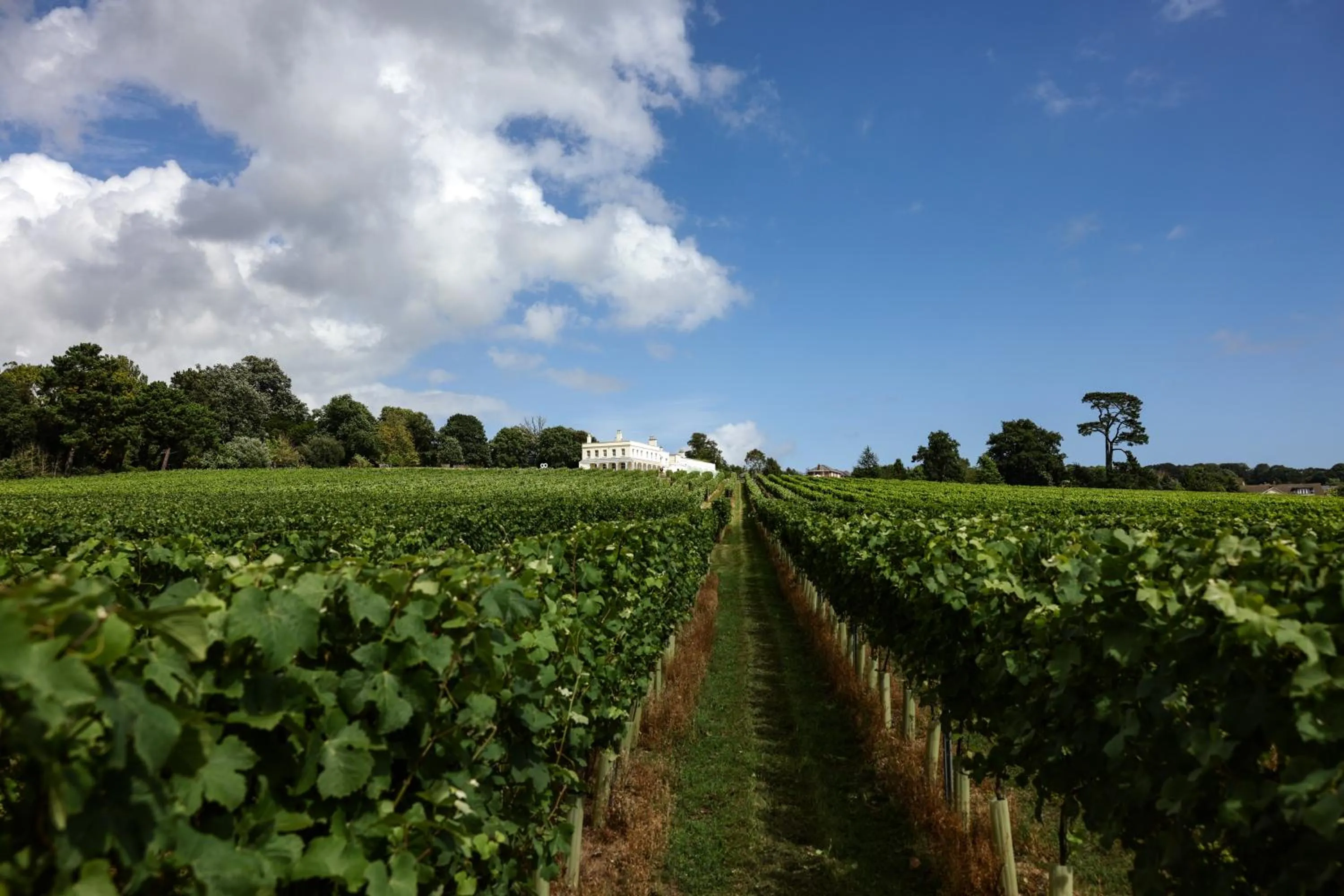 View (from property/room) in Lympstone Manor Hotel Restaurant & Vineyard - Relais & Chateaux