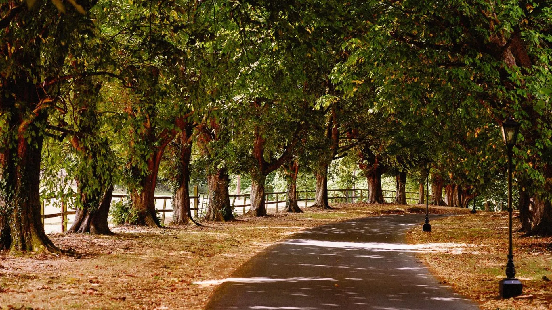 Garden in Waterford Castle Hotel Lodges