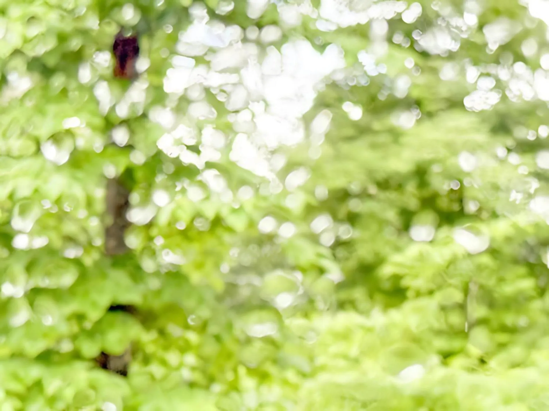 Guest House Chaconne Karuizawa