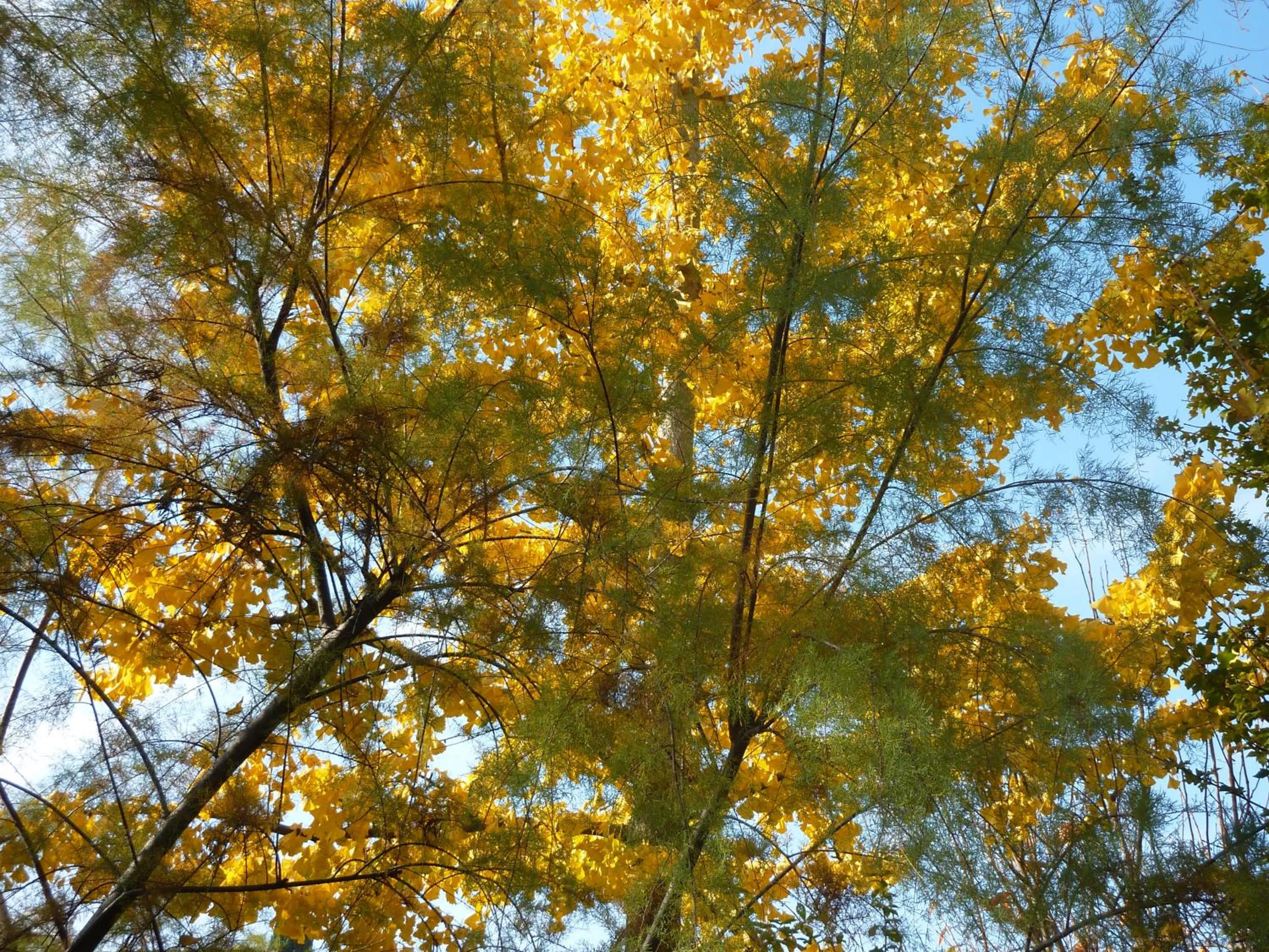 Autumn in B&B La Tamerice