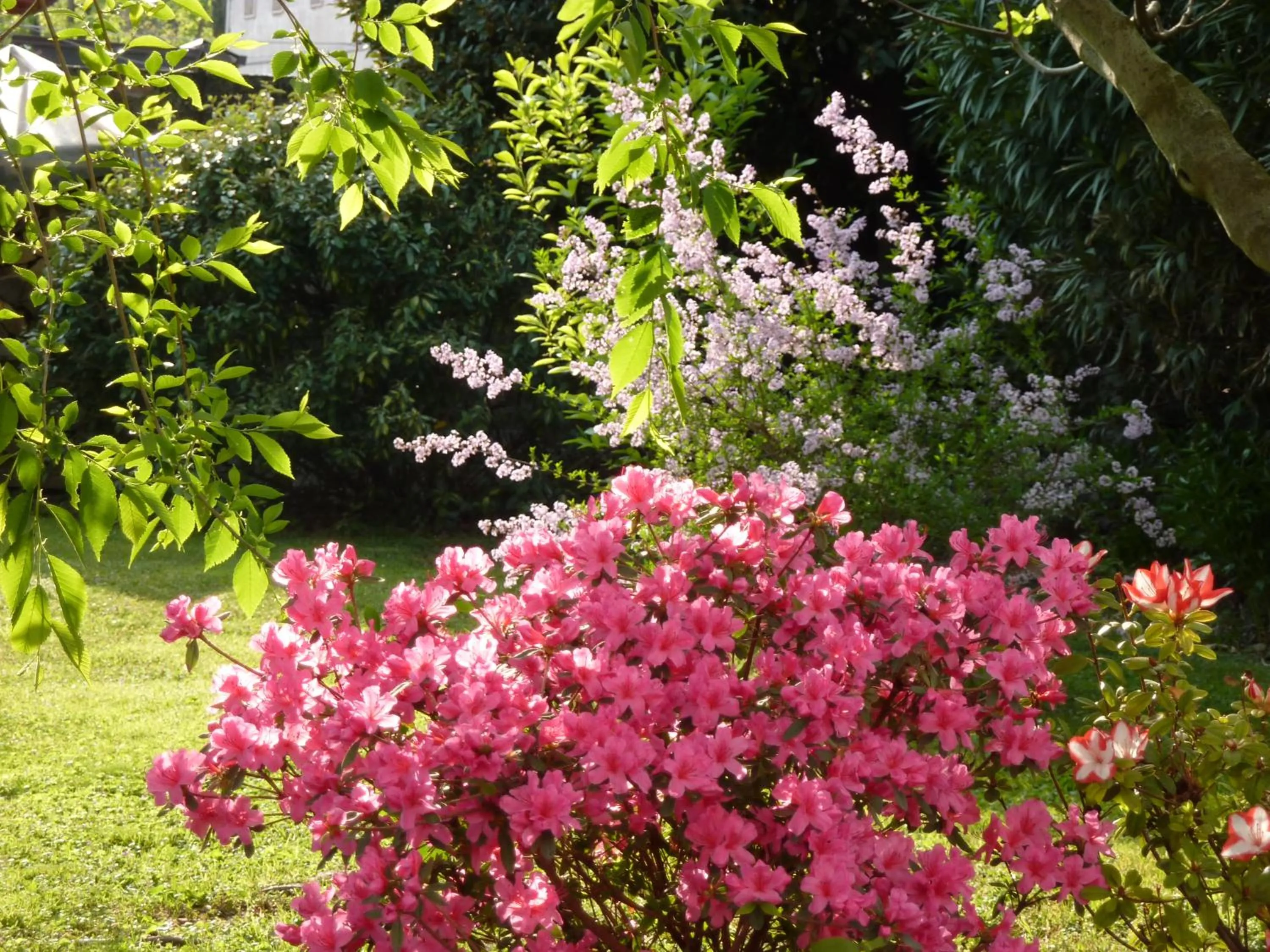 Summer in B&B La Tamerice