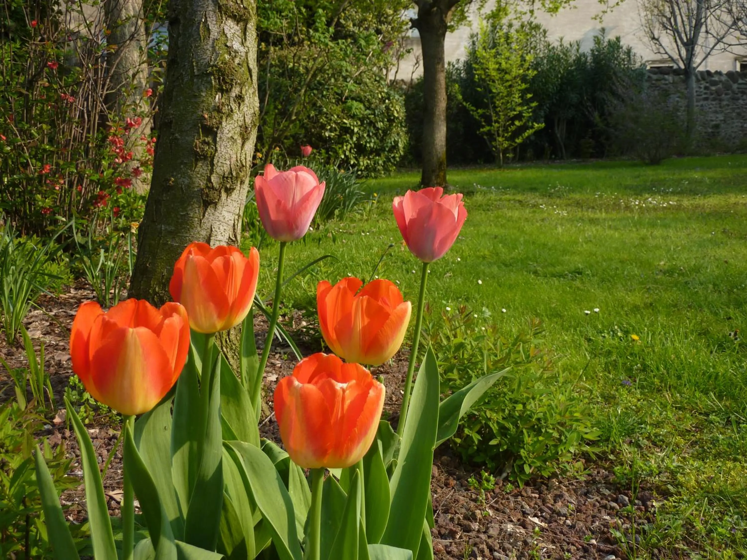 Spring in B&B La Tamerice