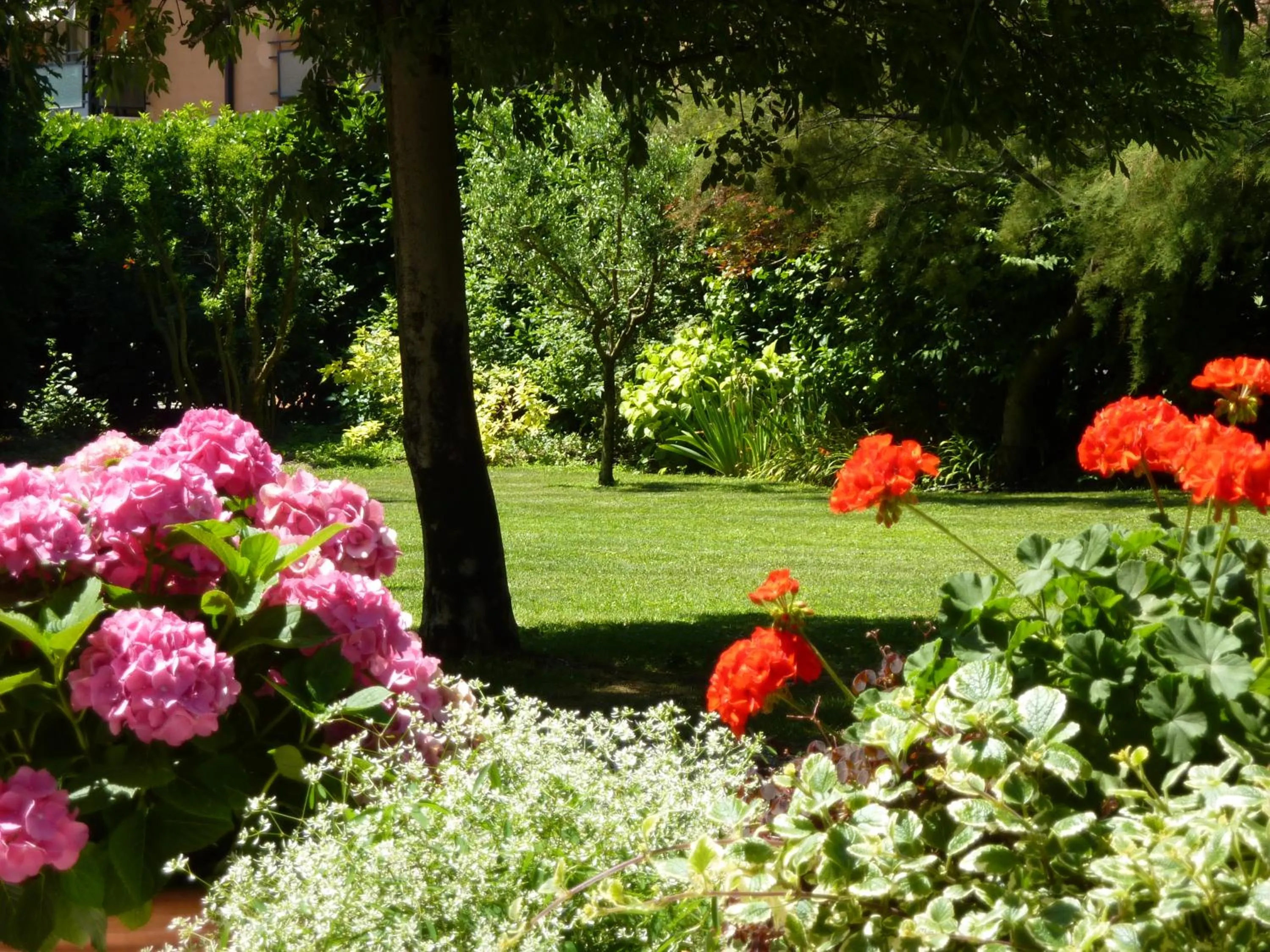 Summer in B&B La Tamerice