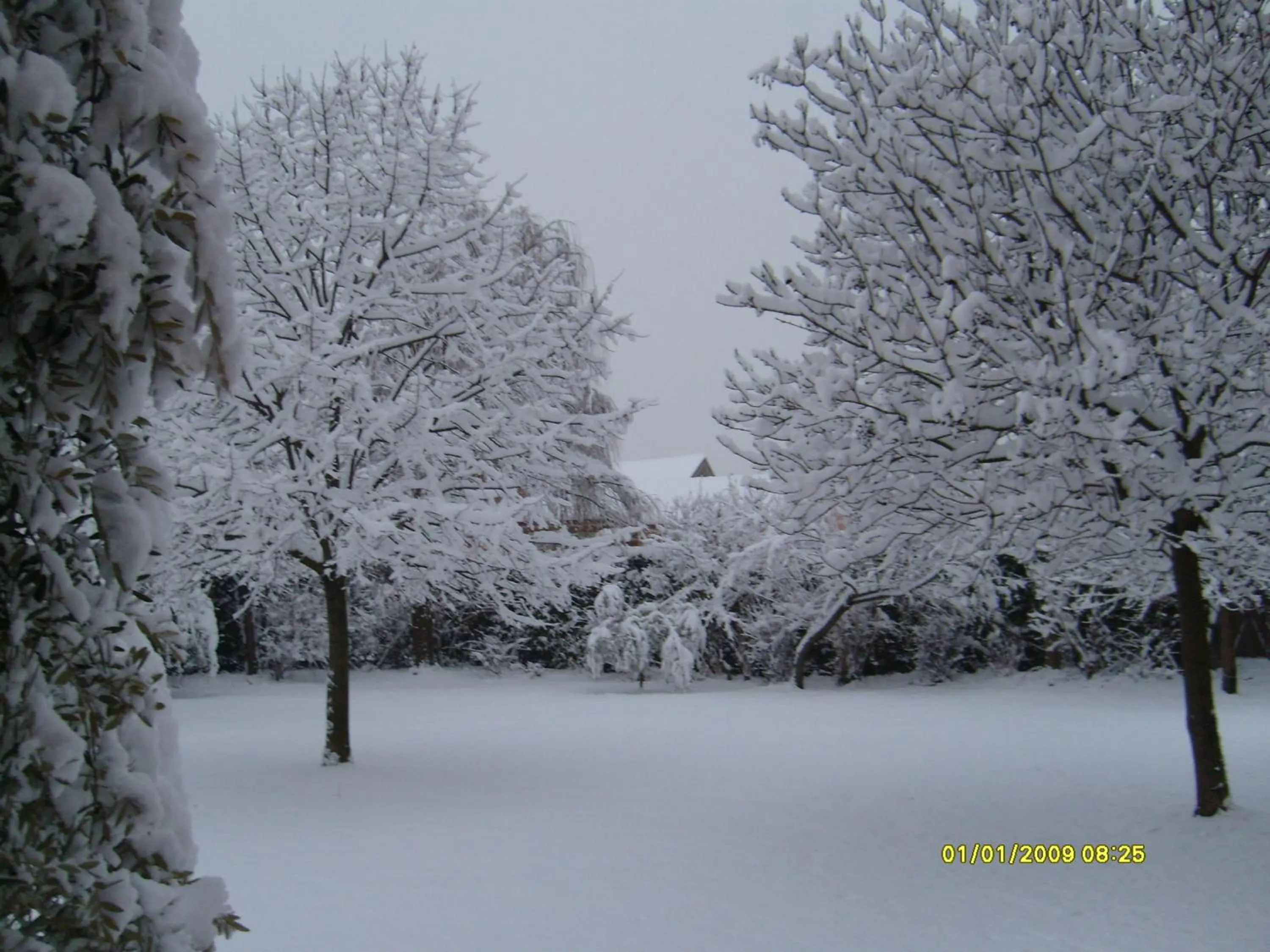 Winter in B&B La Tamerice
