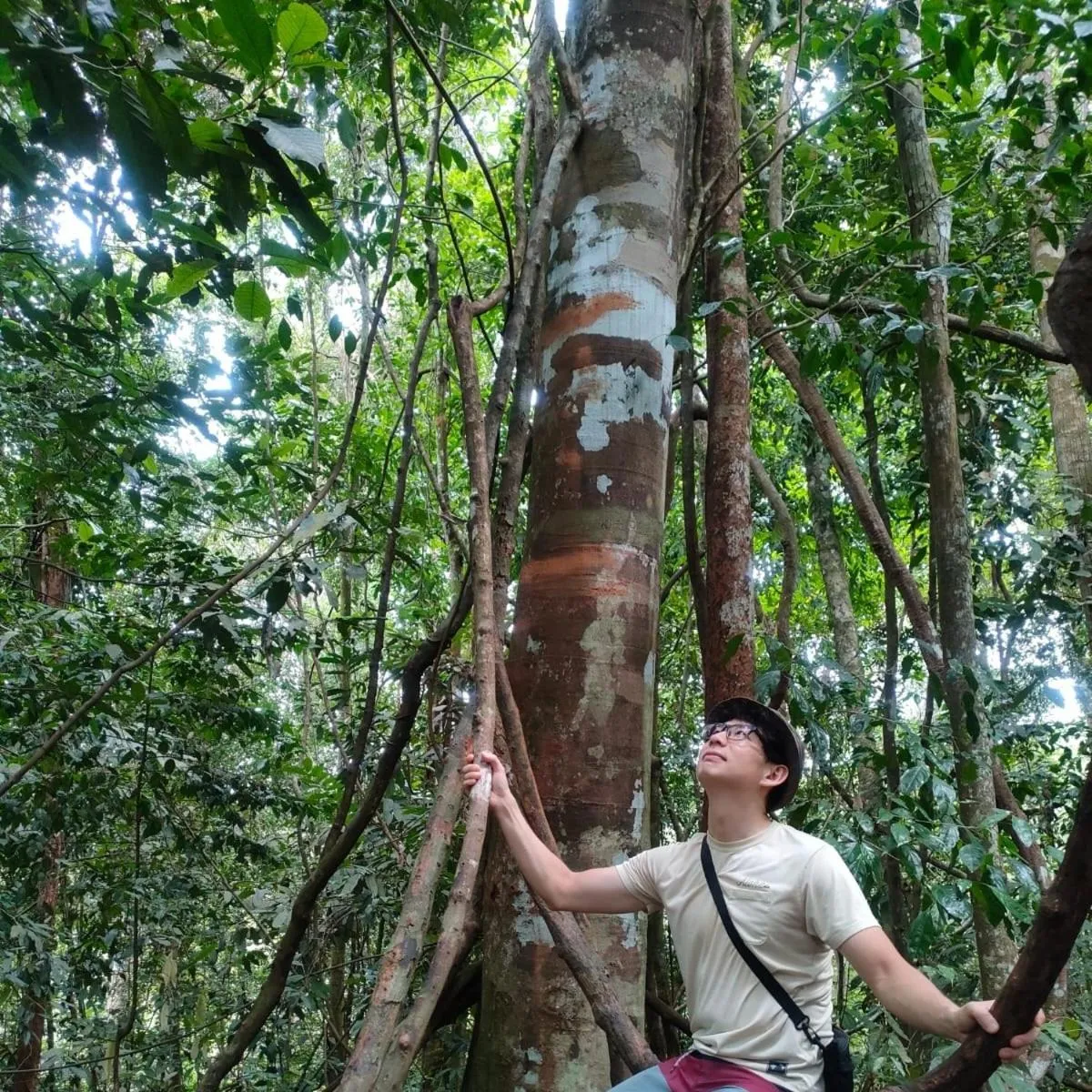Ustin Nagoya Bukit Lawang Orangutan Trekking & transport only book with us