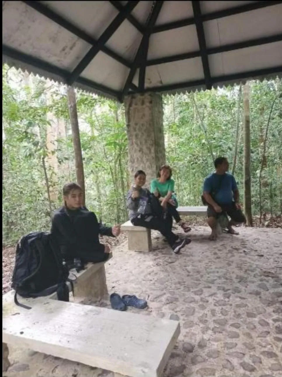 Day in Ustin Nagoya Bukit Lawang Orangutan Trekking & transport only book with us