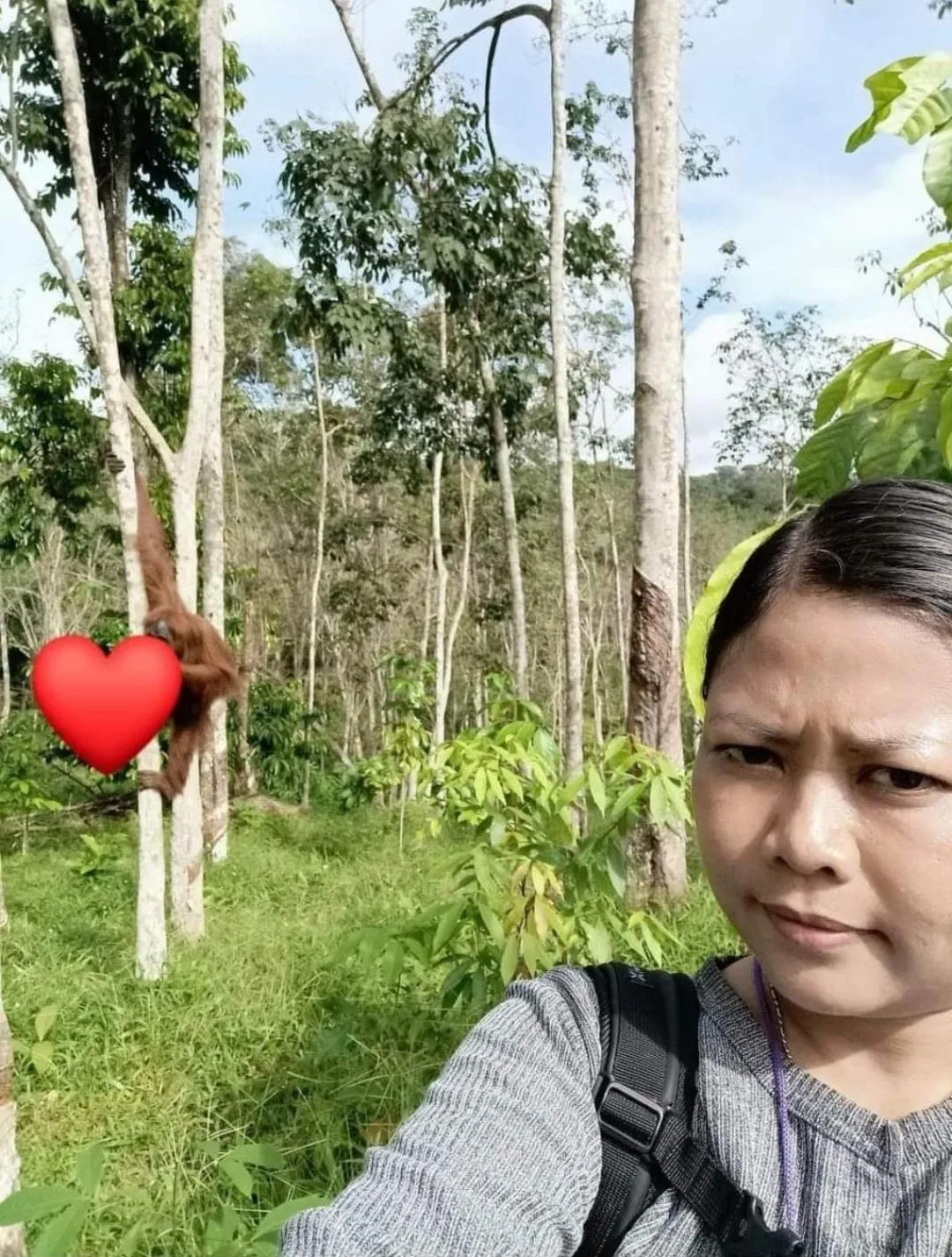 Spring in Ustin Nagoya Bukit Lawang Orangutan Trekking & transport only book with us