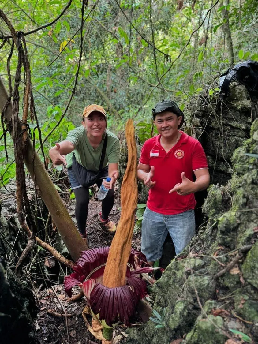 Ustin Nagoya Bukit Lawang Orangutan Trekking & transport only book with us