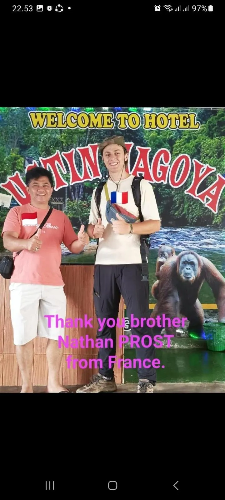 Ustin Nagoya Bukit Lawang Orangutan Trekking & transport only book with us