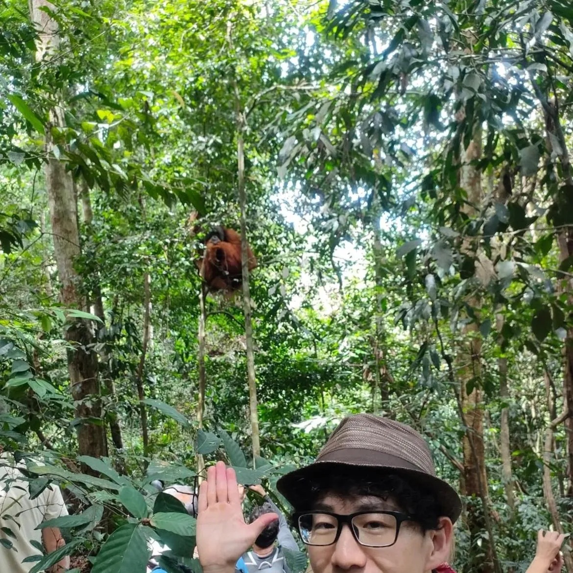 Ustin Nagoya Bukit Lawang Orangutan Trekking & transport only book with us