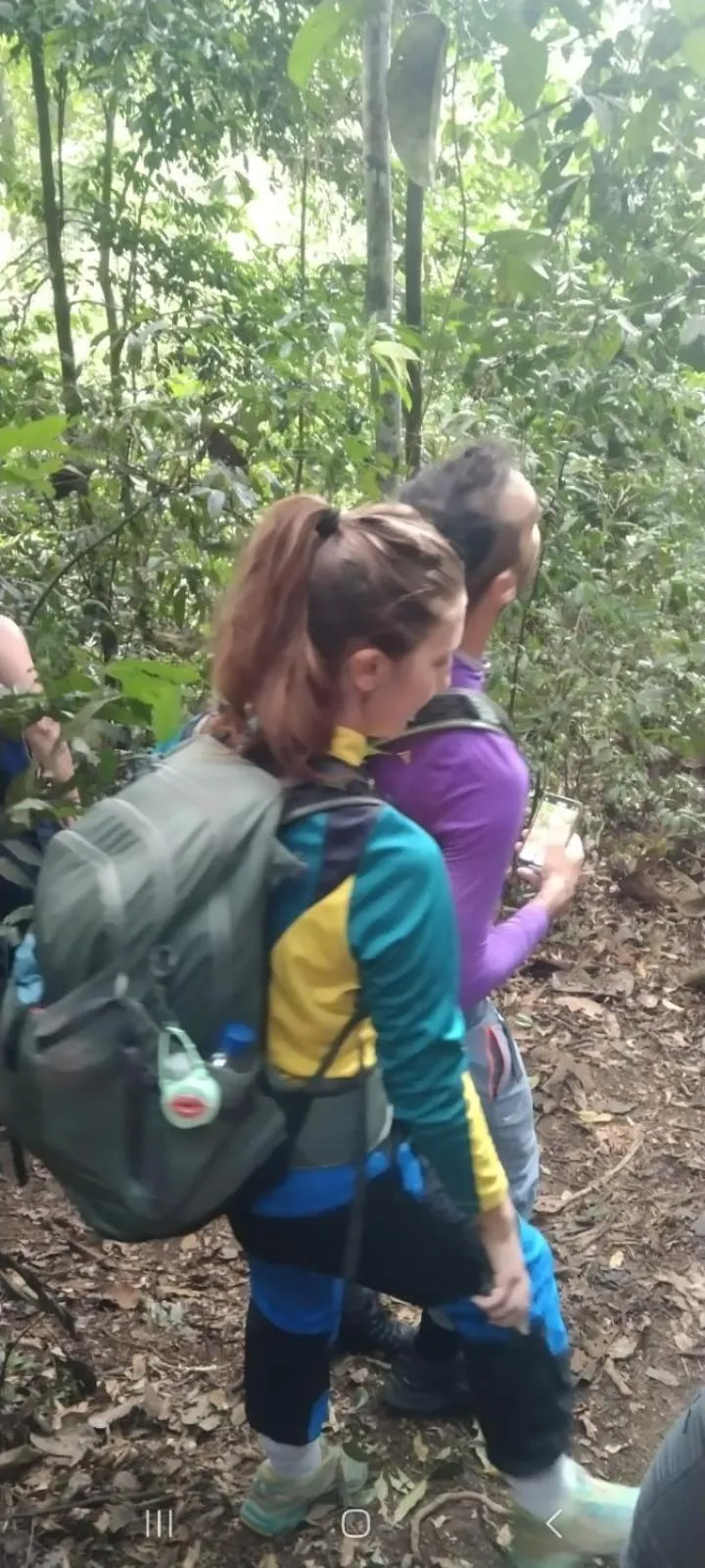 Ustin Nagoya Bukit Lawang Orangutan Trekking & transport only book with us