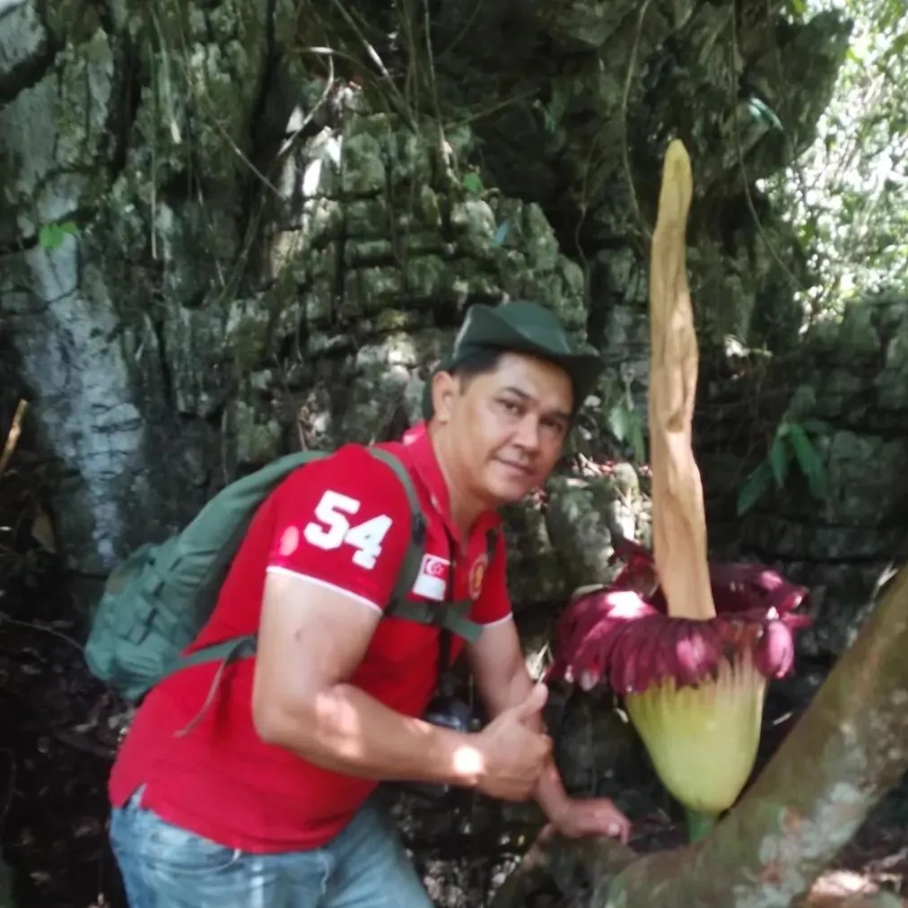Ustin Nagoya Bukit Lawang Orangutan Trekking & transport only book with us