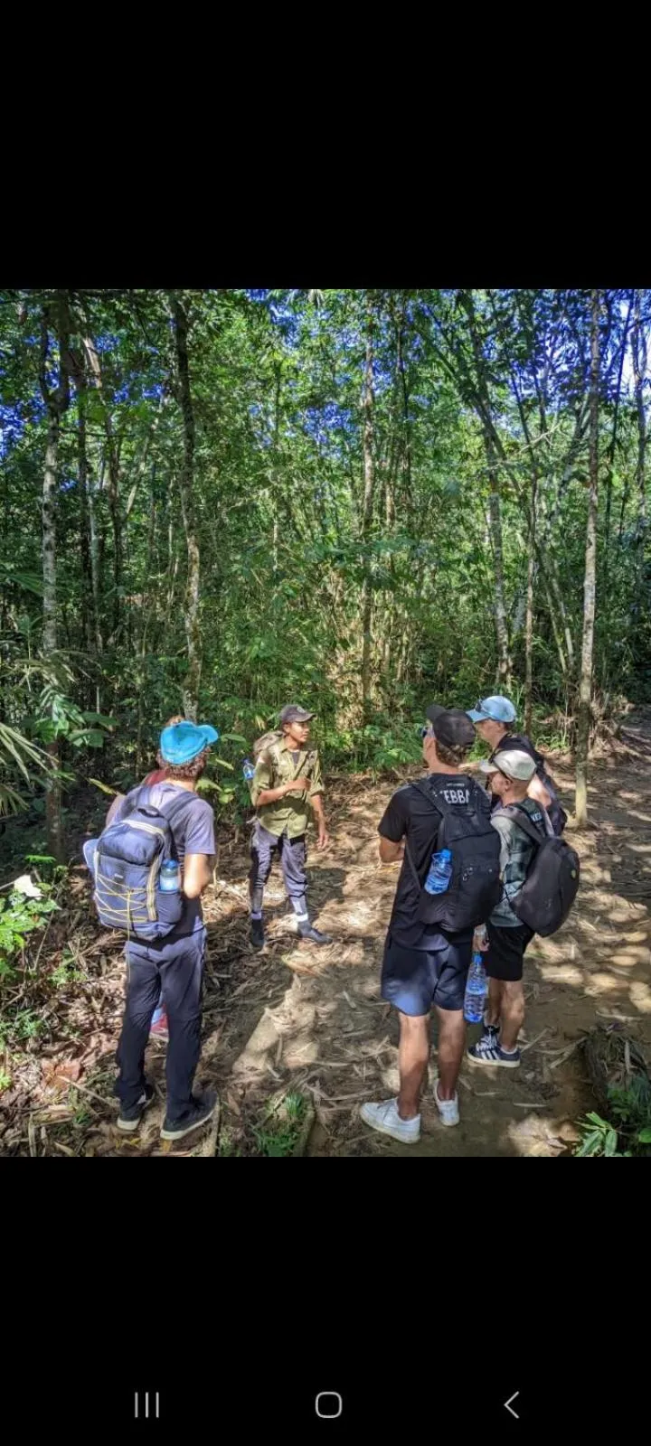 Ustin Nagoya Bukit Lawang Orangutan Trekking & transport only book with us