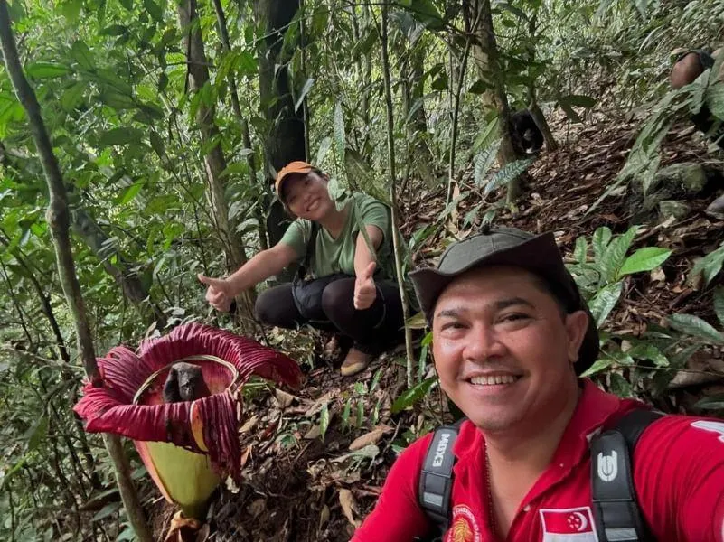 Ustin Nagoya Bukit Lawang Orangutan Trekking & transport only book with us