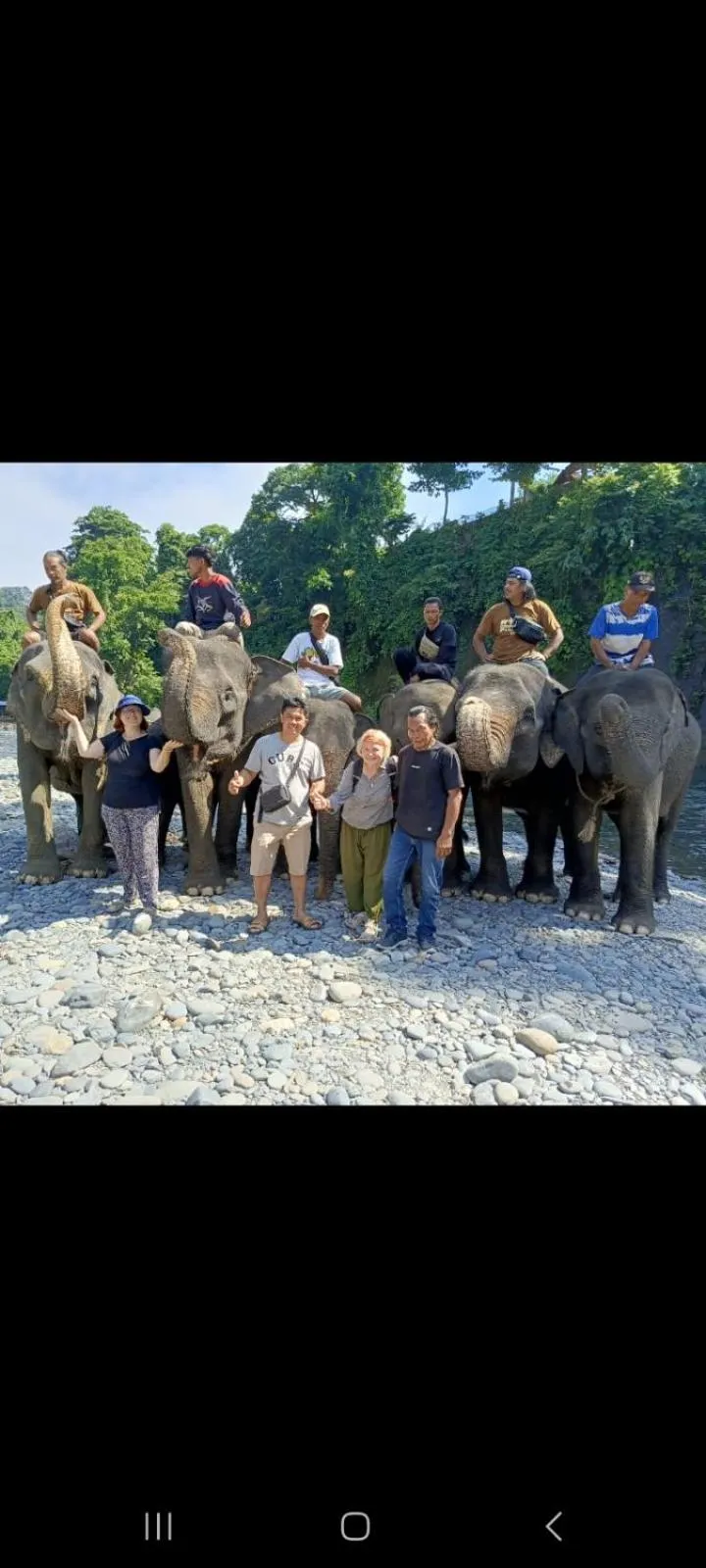 Ustin Nagoya Bukit Lawang Orangutan Trekking & transport only book with us