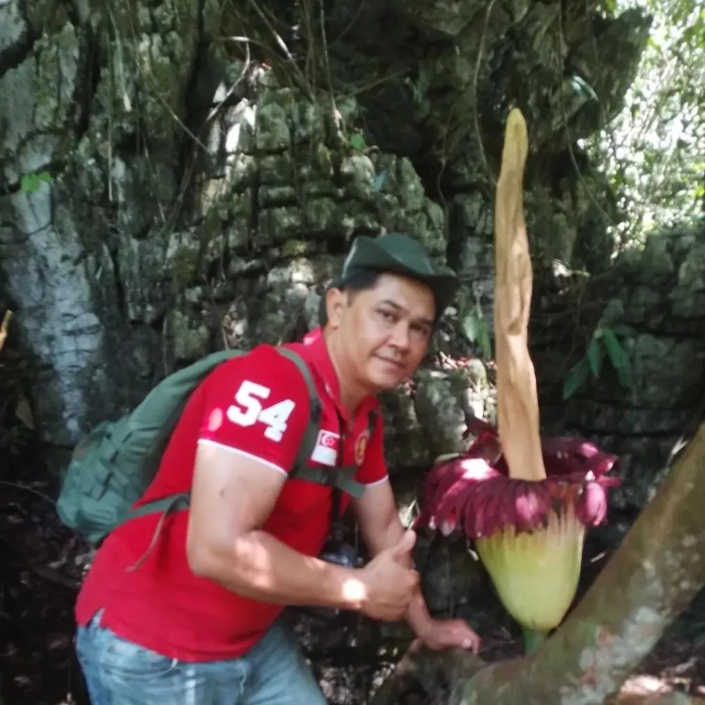 Ustin Nagoya Bukit Lawang Orangutan Trekking & transport only book with us