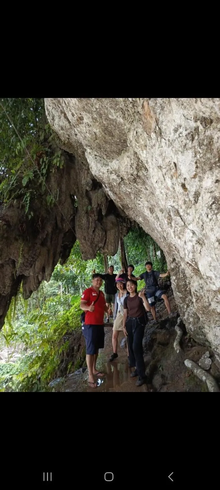 Ustin Nagoya Bukit Lawang Orangutan Trekking & transport only book with us