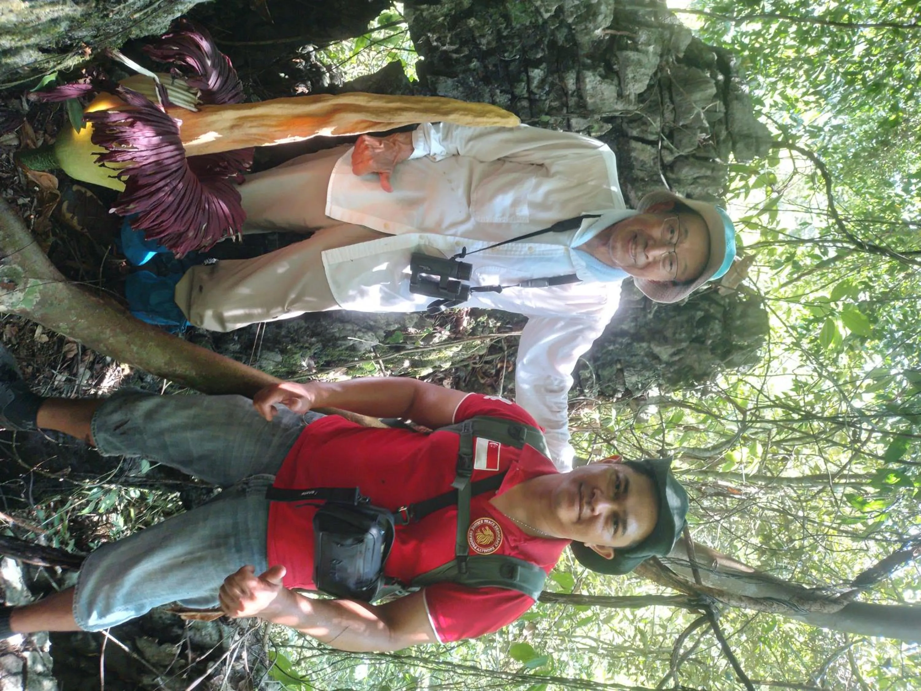 Ustin Nagoya Bukit Lawang Orangutan Trekking & transport only book with us