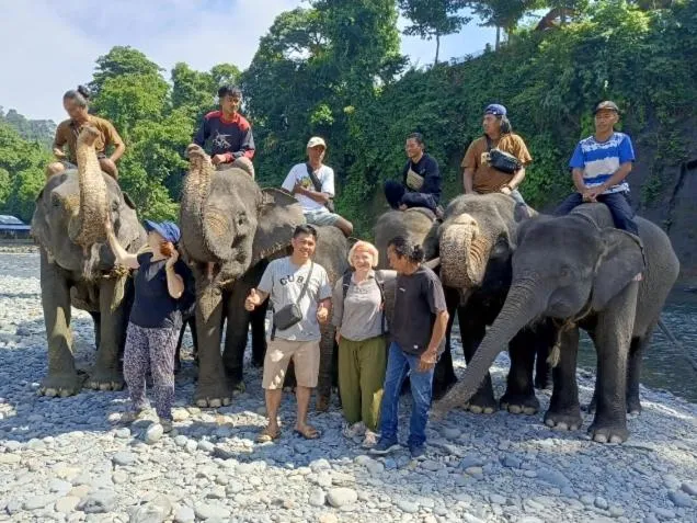 Ustin Nagoya Bukit Lawang Orangutan Trekking & transport only book with us