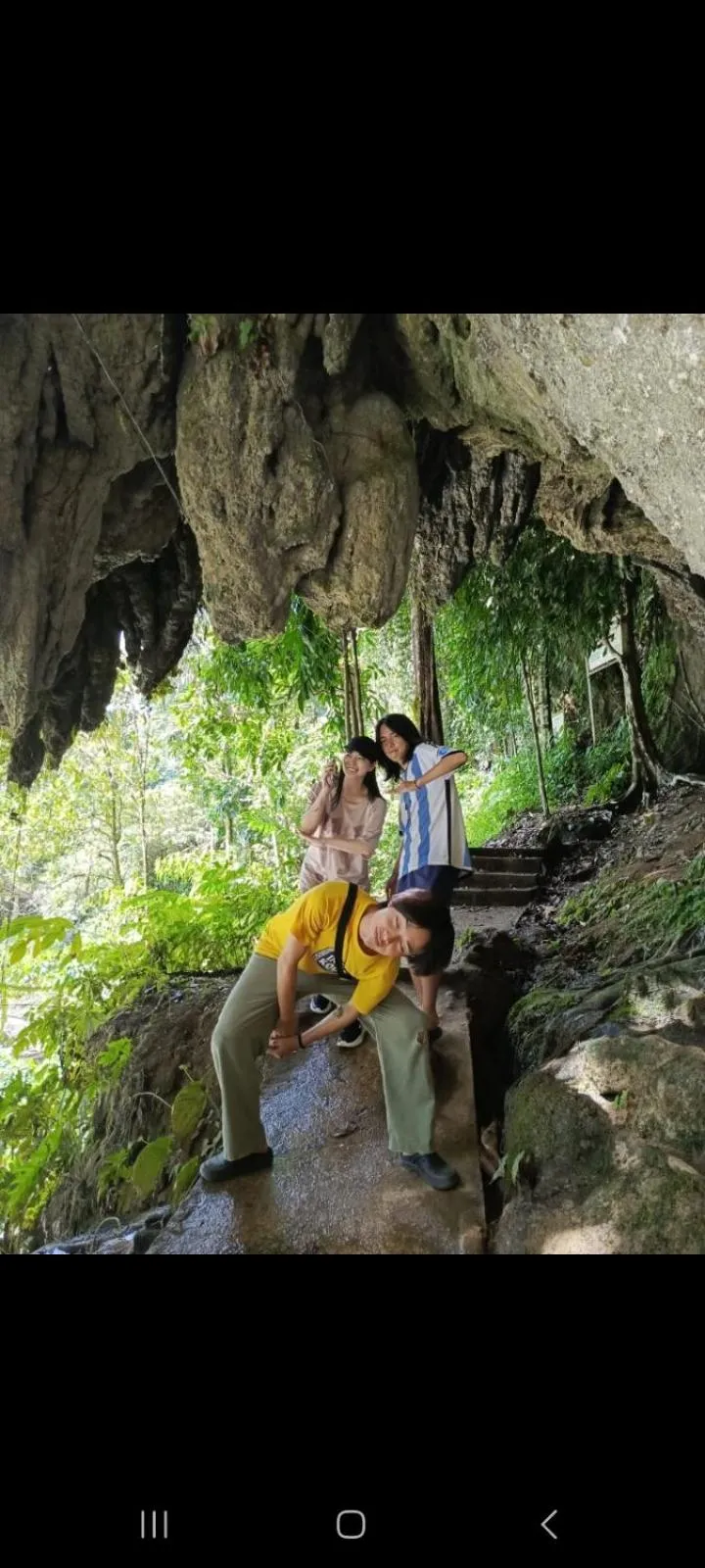 Ustin Nagoya Bukit Lawang Orangutan Trekking & transport only book with us