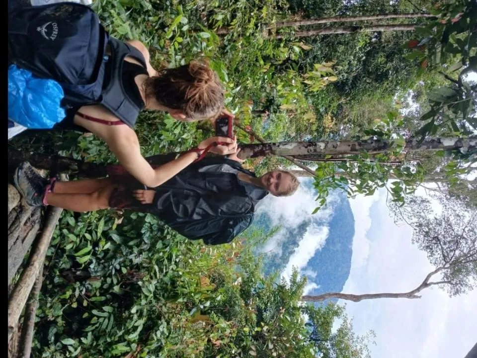 Ustin Nagoya Bukit Lawang Orangutan Trekking & transport only book with us
