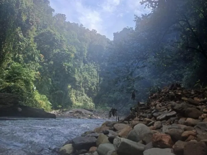 Ustin Nagoya Bukit Lawang Orangutan Trekking & transport only book with us