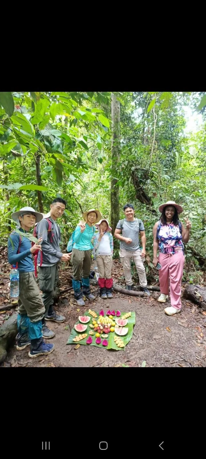 Ustin Nagoya Bukit Lawang Orangutan Trekking & transport only book with us