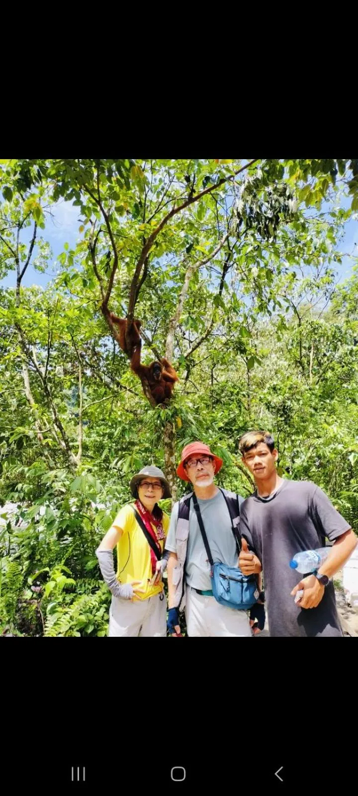 Ustin Nagoya Bukit Lawang Orangutan Trekking & transport only book with us