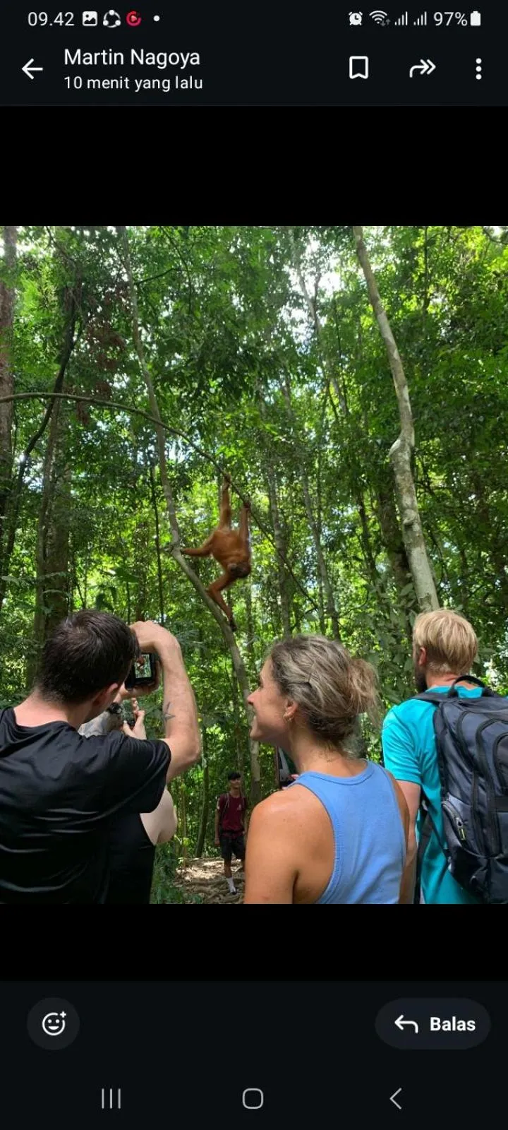 Ustin Nagoya Bukit Lawang Orangutan Trekking & transport only book with us